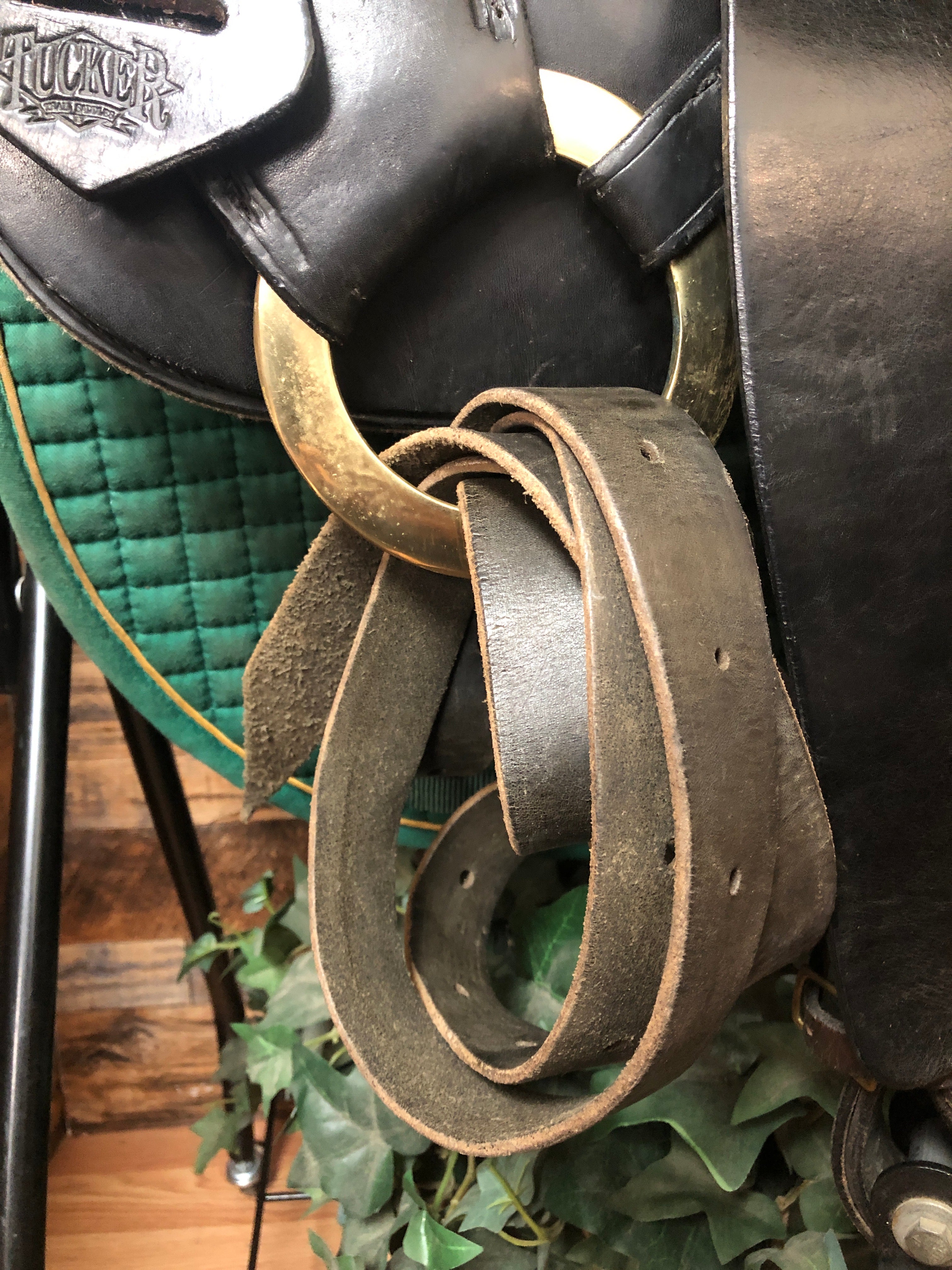 19" Tucker Endurance Saddle