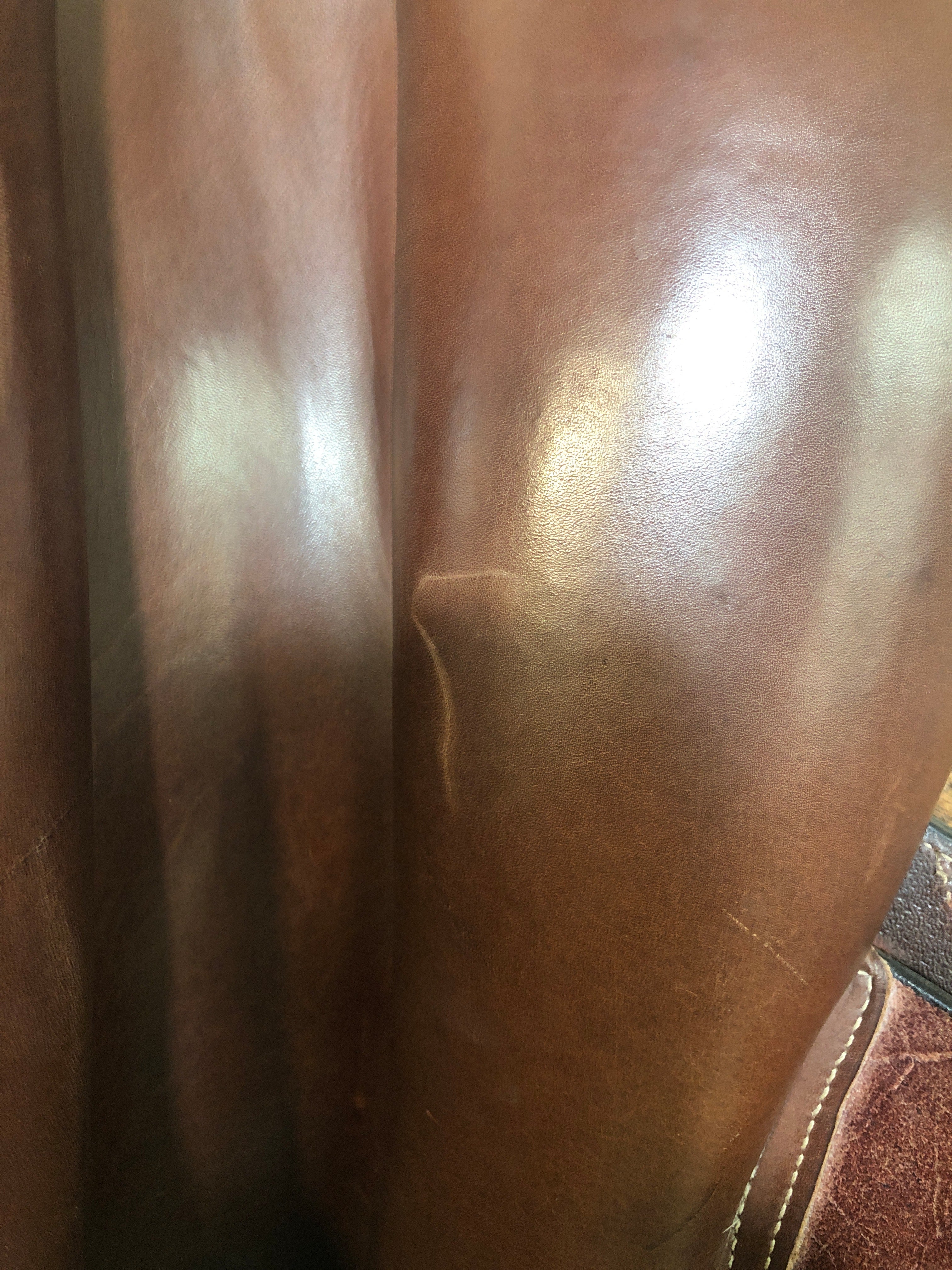17.5" Dover Circuit Premier Saddle