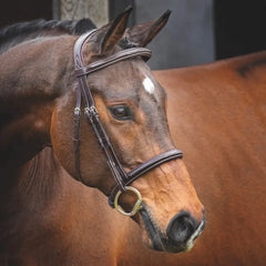 Velociti Rapida Hunter Cavesson Bridle