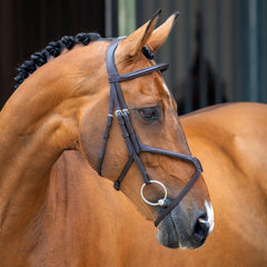 Lusso Grackle Bridle
