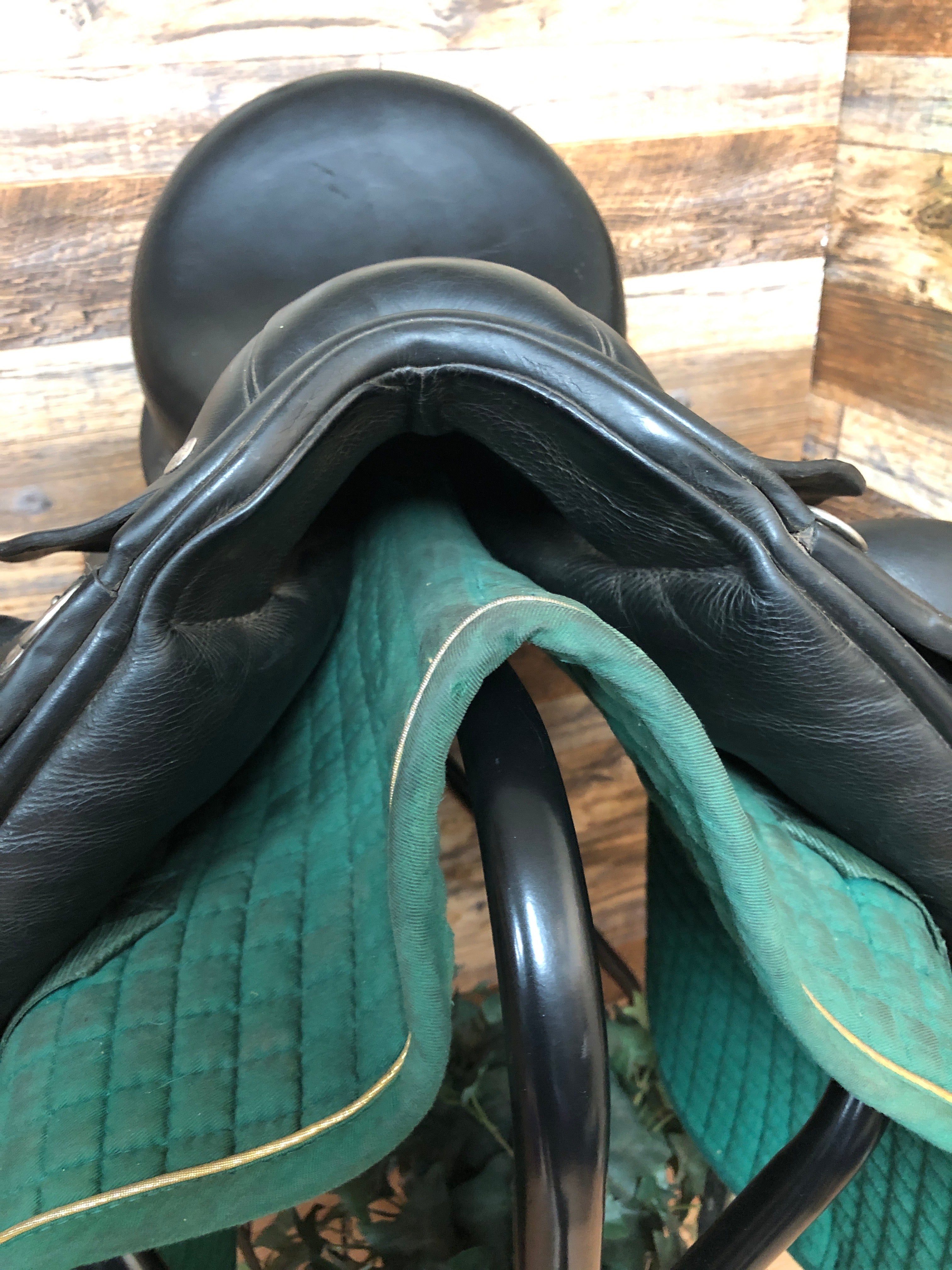 17.5" Custom Dressage Wolfgang Solo