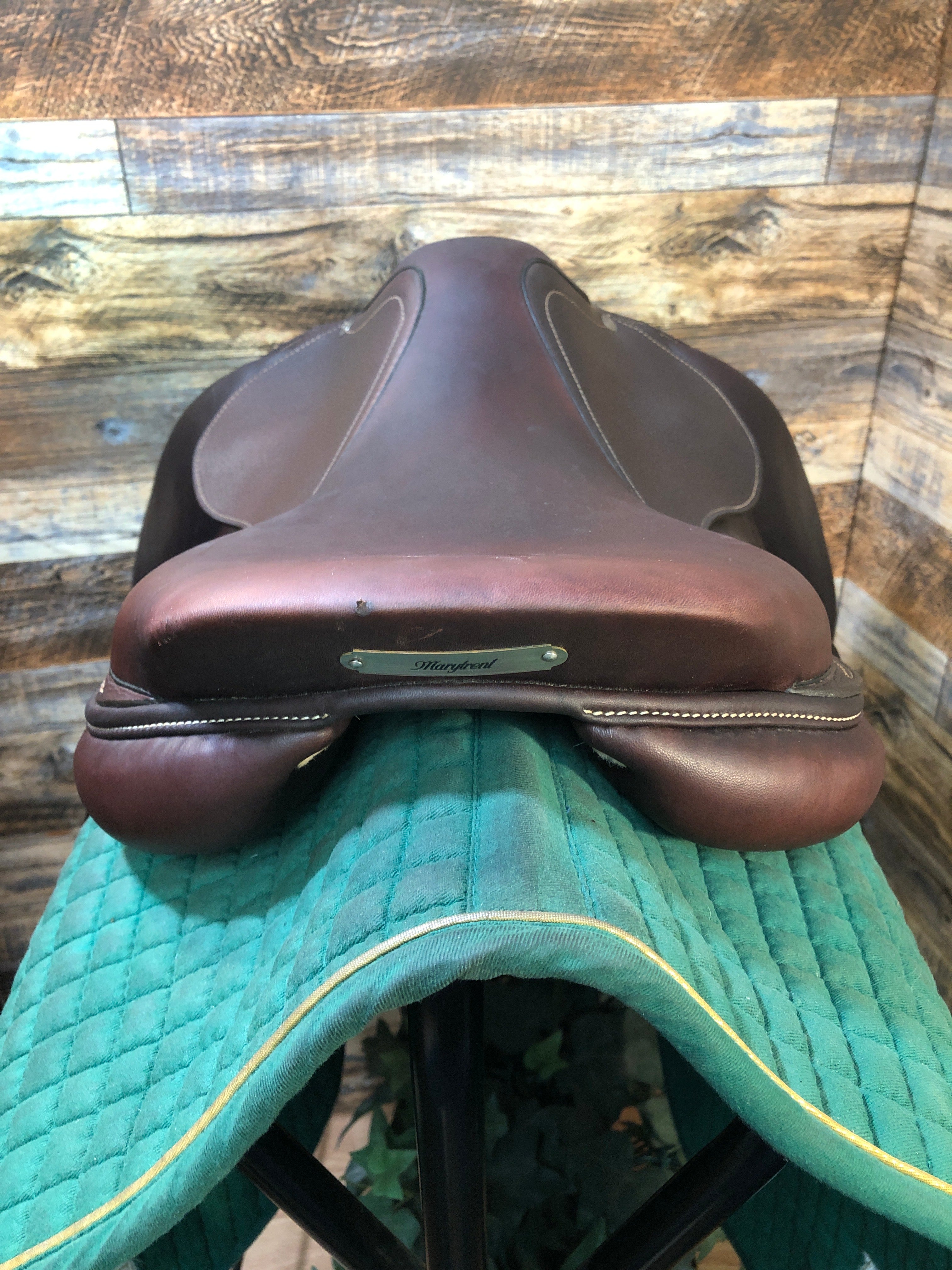 17" Antares CC Saddle