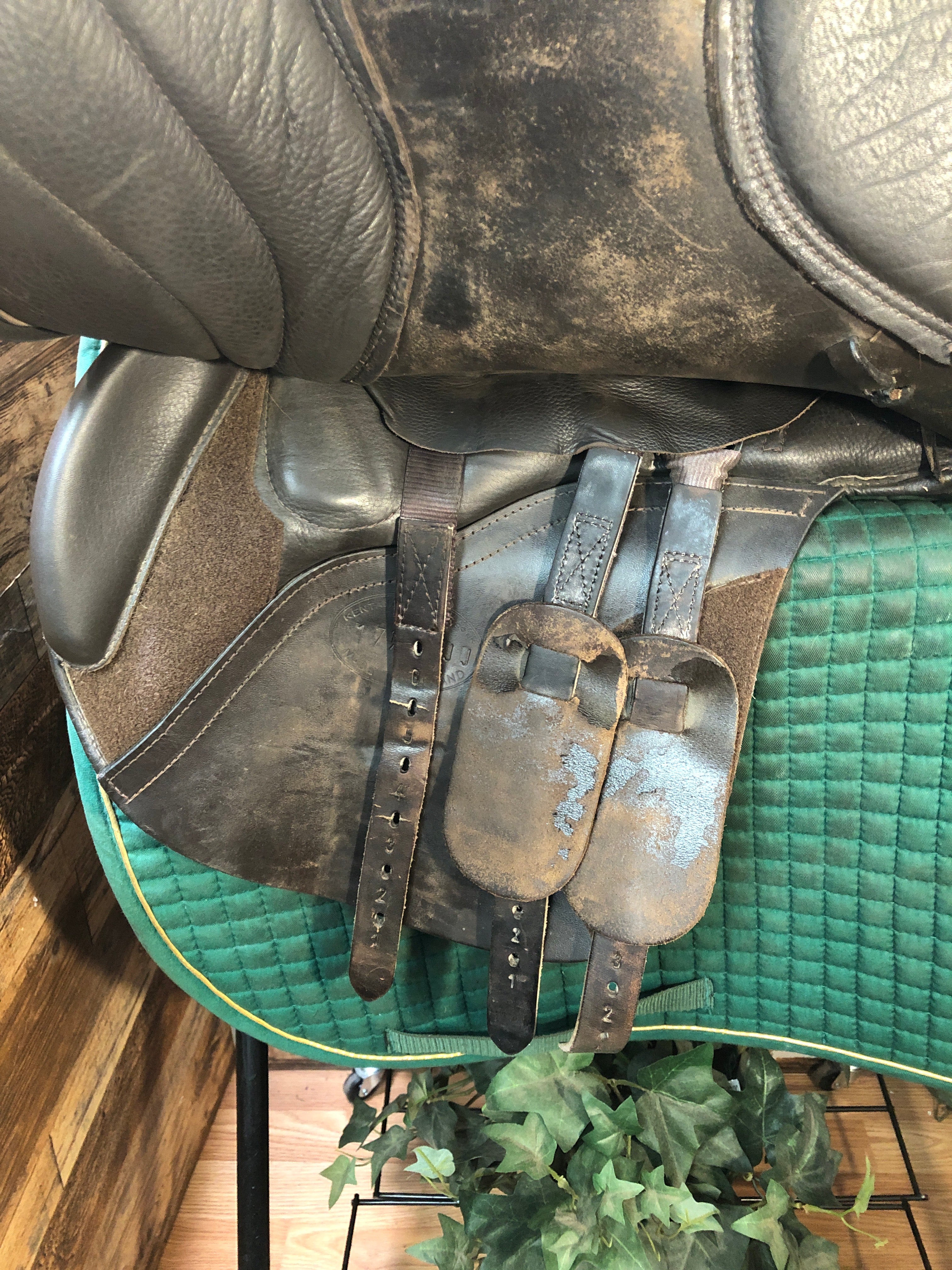 17.5" Kent & Masters MJJ Jump Saddle