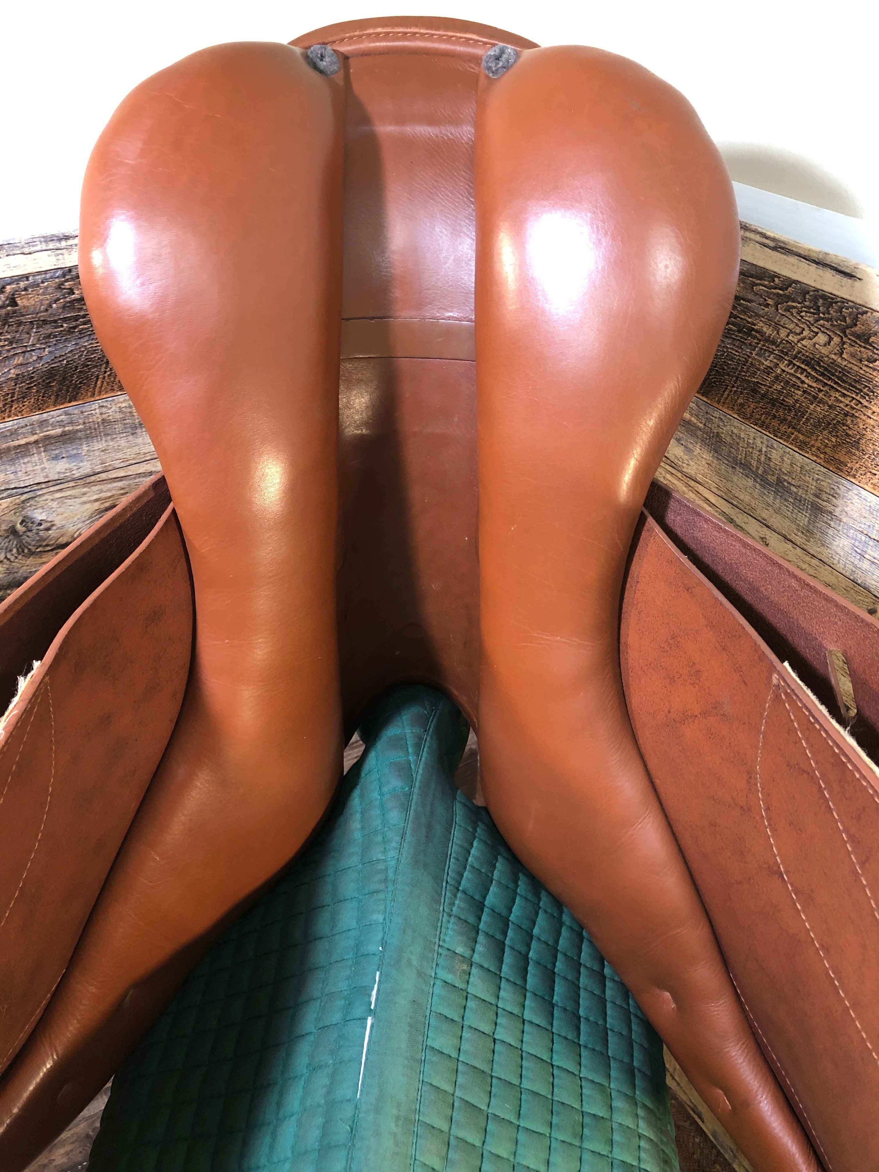 17" Prestige Redfox Jump Saddle