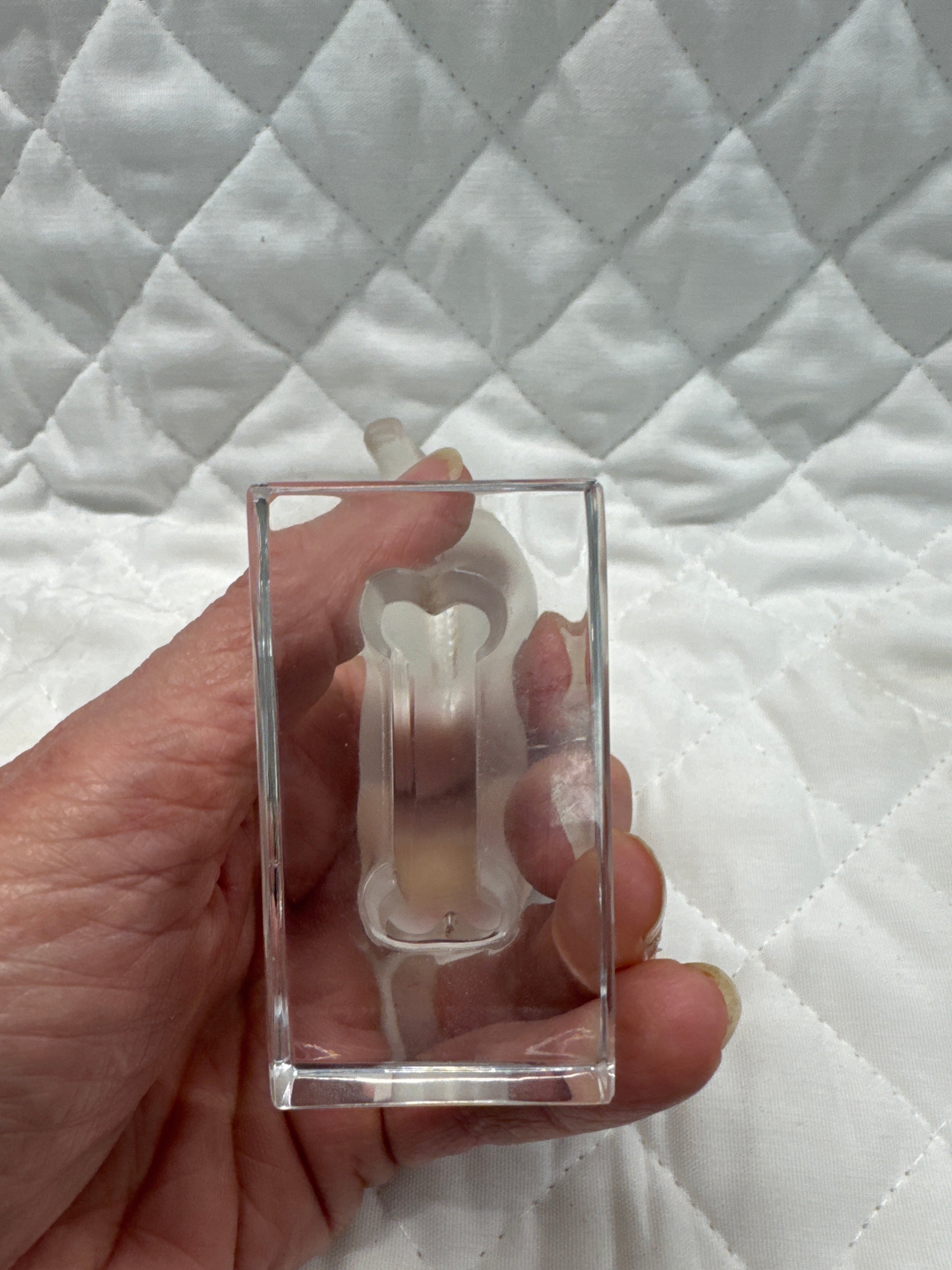 Lalique Glass Horse Figurine- Small
