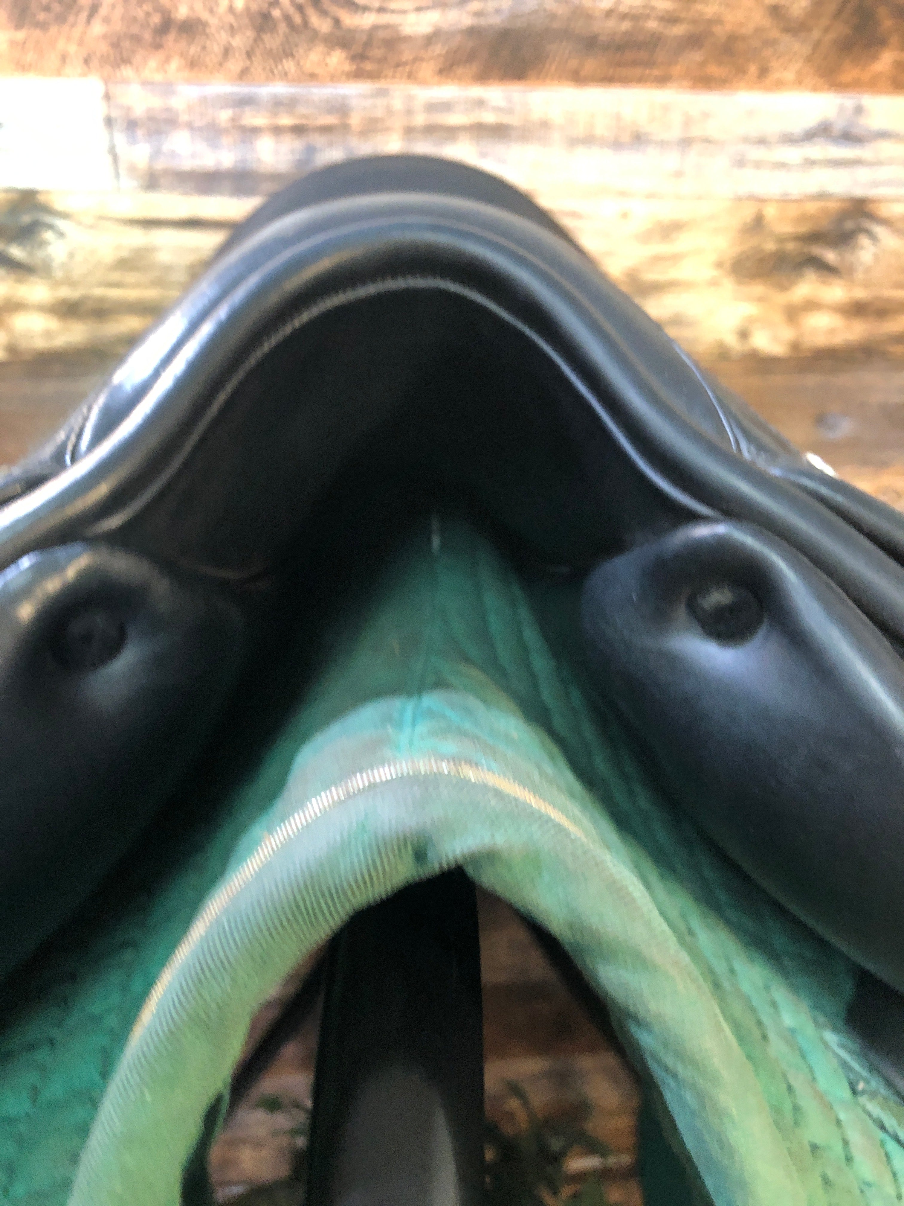 17" L'Apogee Dressage Saddle (2017)