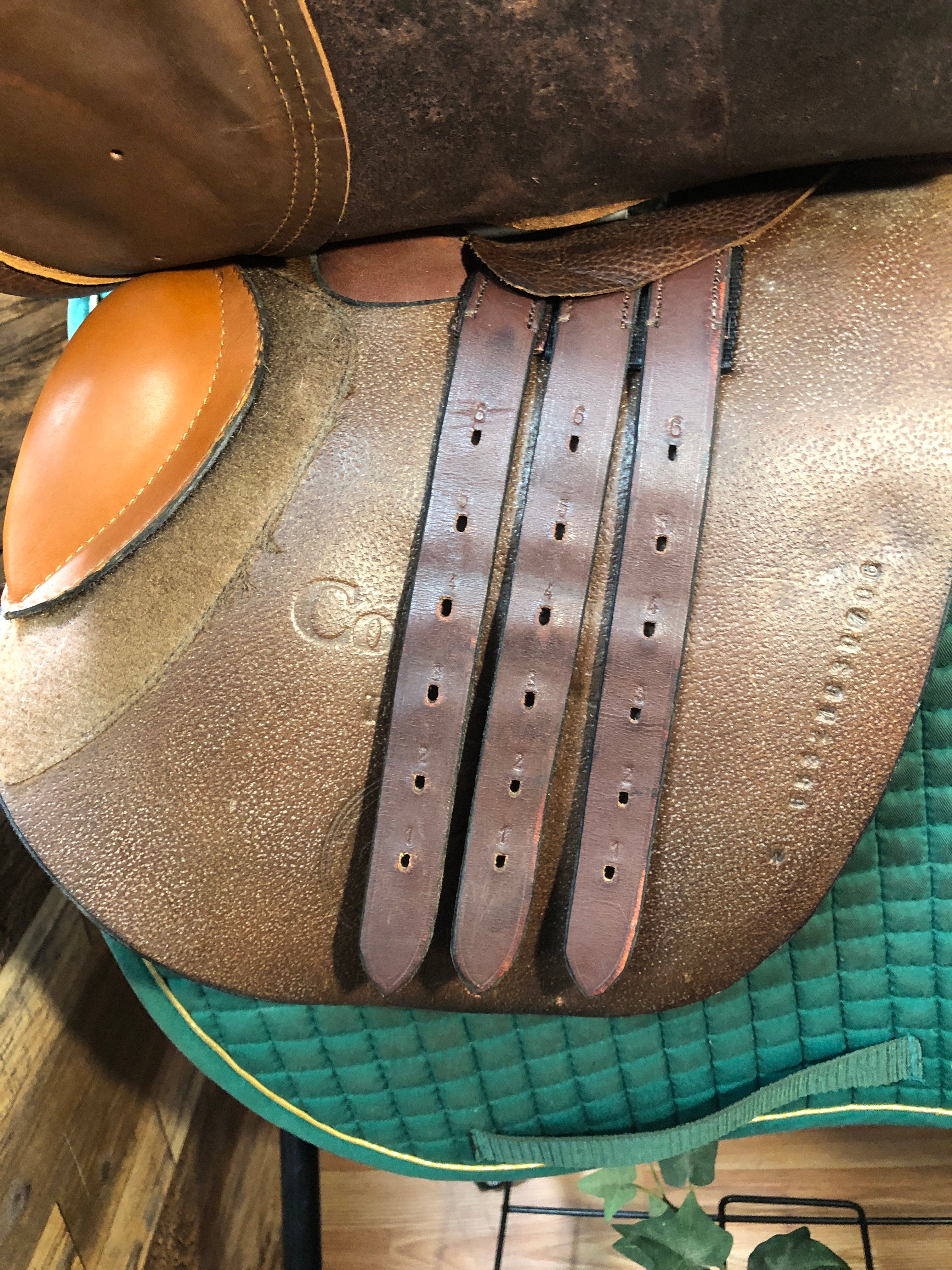 16.5" Collegiate Finalist CC Saddle