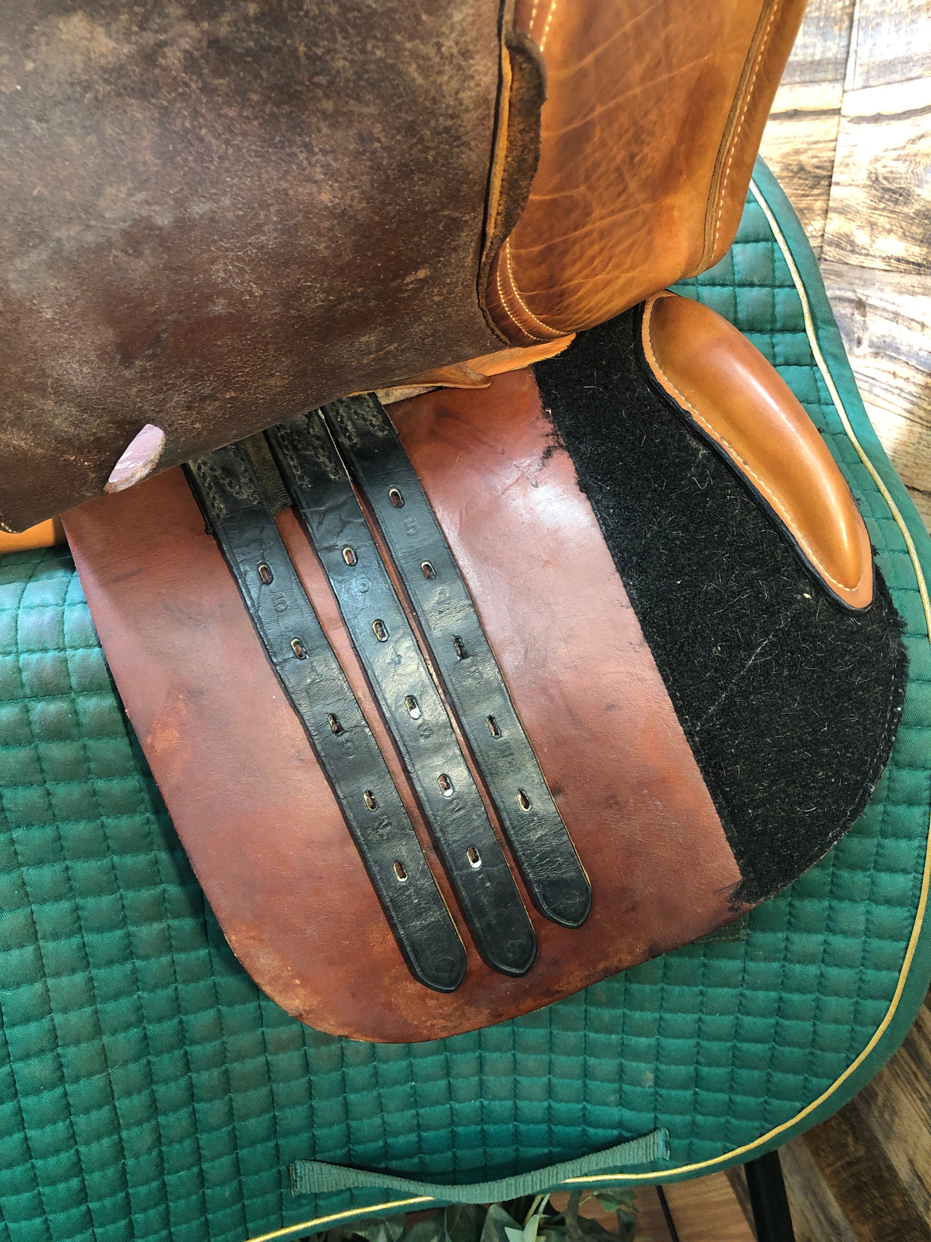 15" M Toulouse Jump Saddle