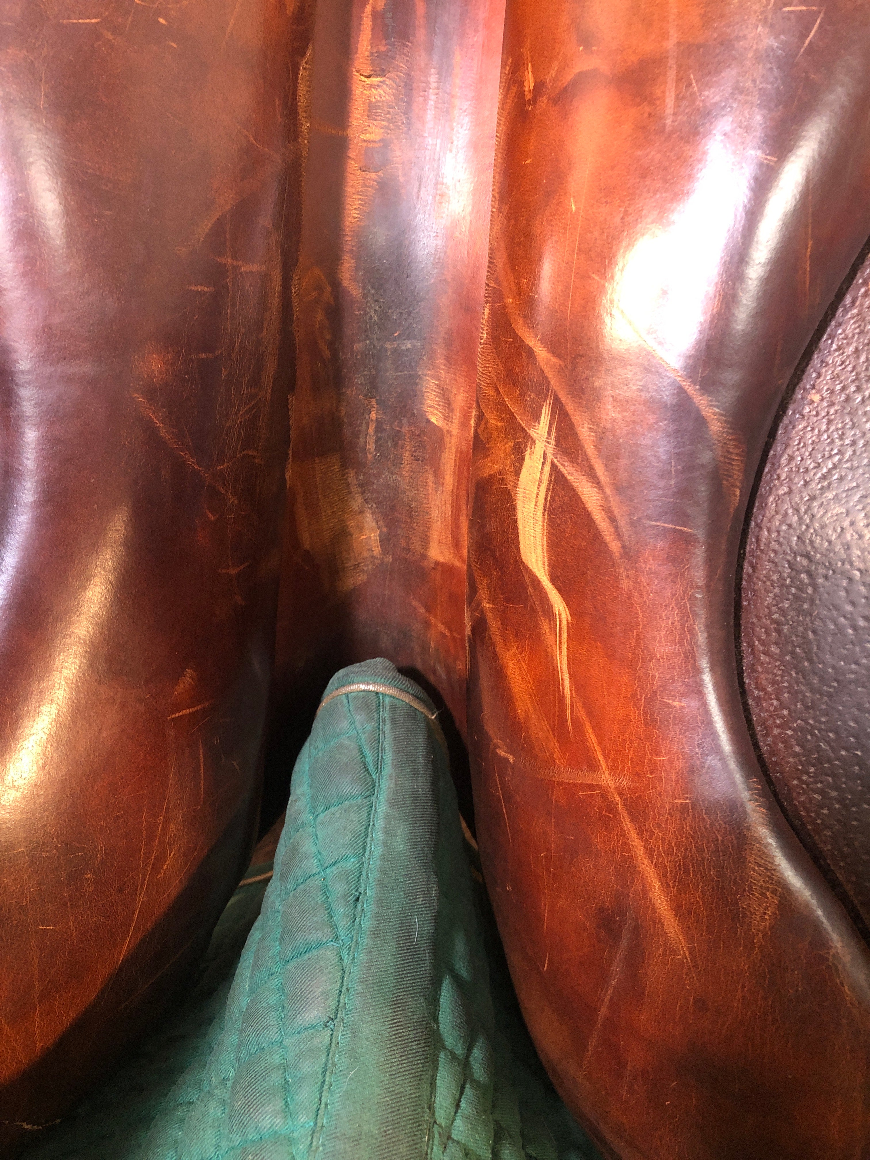 18" Butet Close Contact Saddle