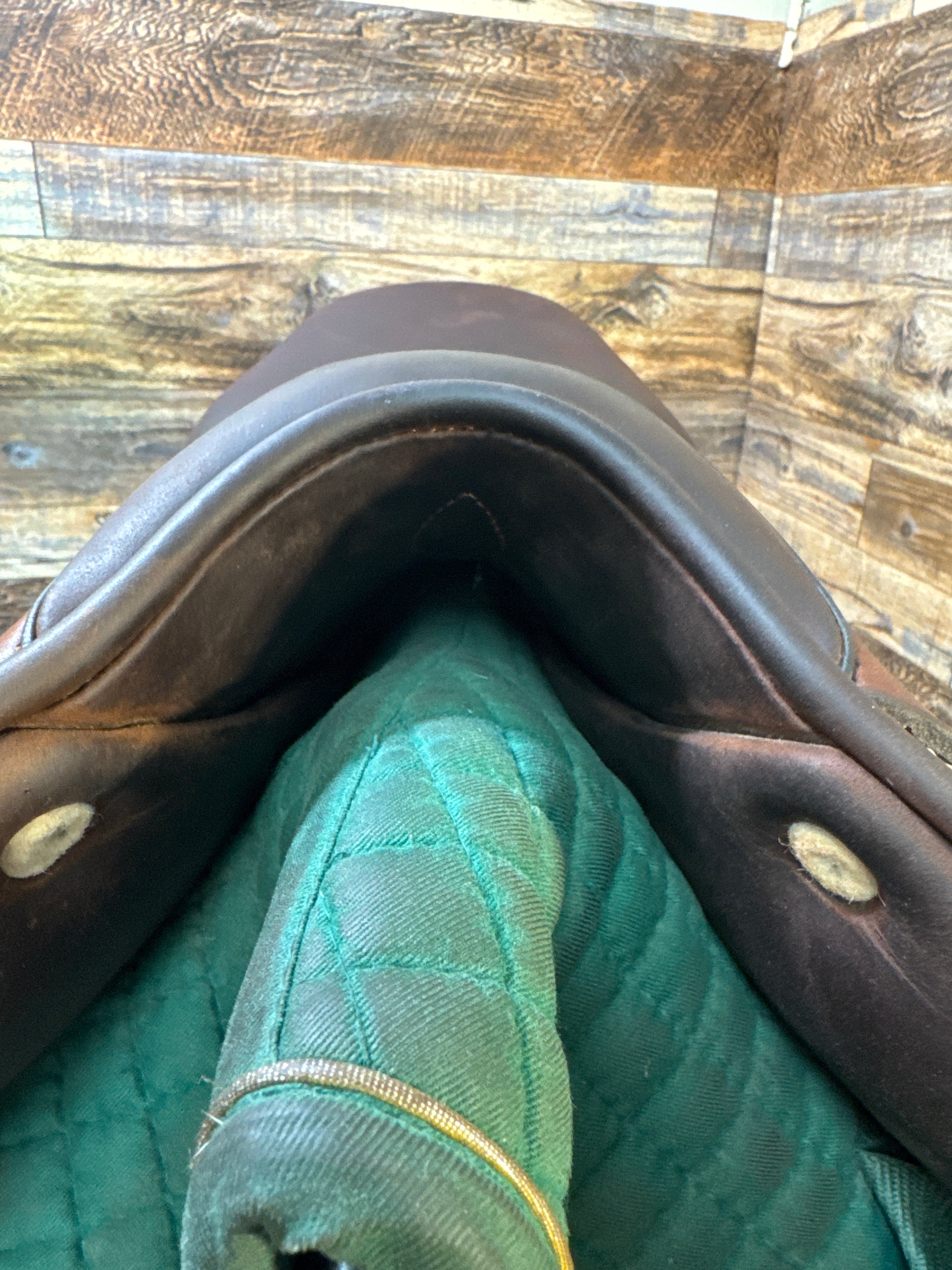 18" Antares Jump Saddle