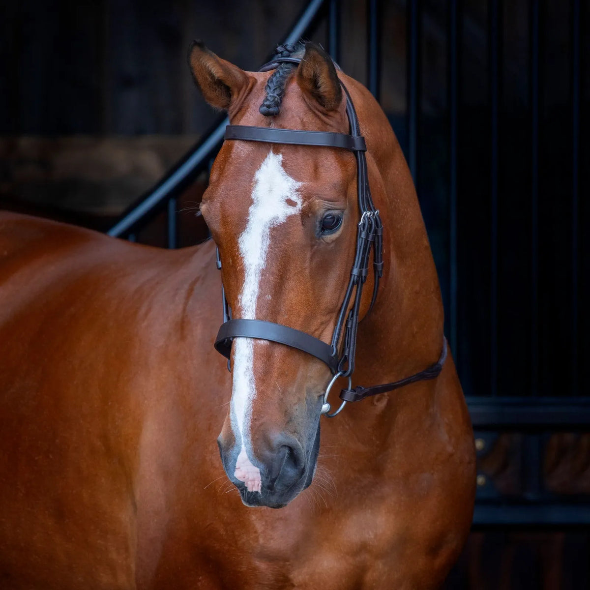 Velociti Hunter Bridle