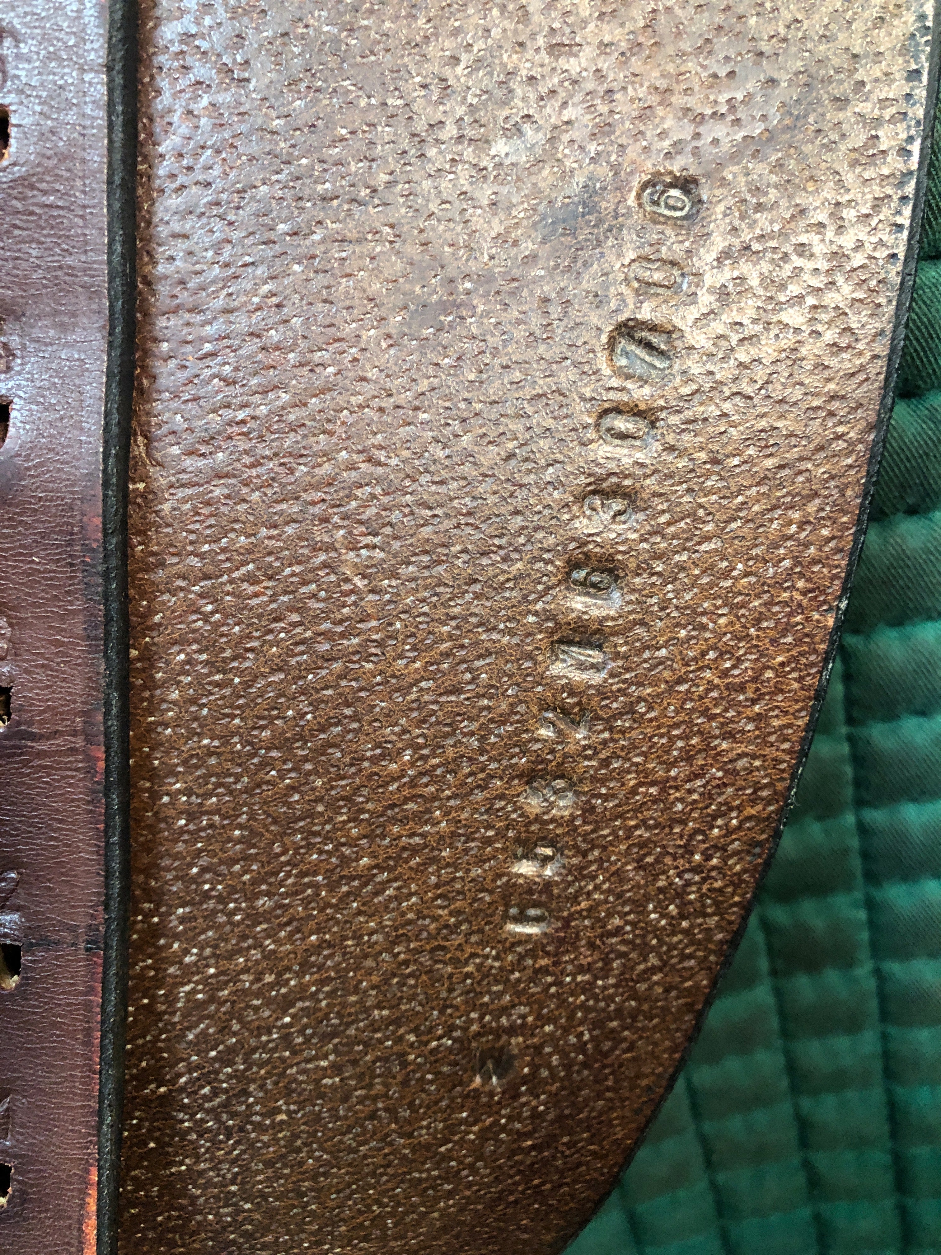 16.5" Collegiate Finalist CC Saddle