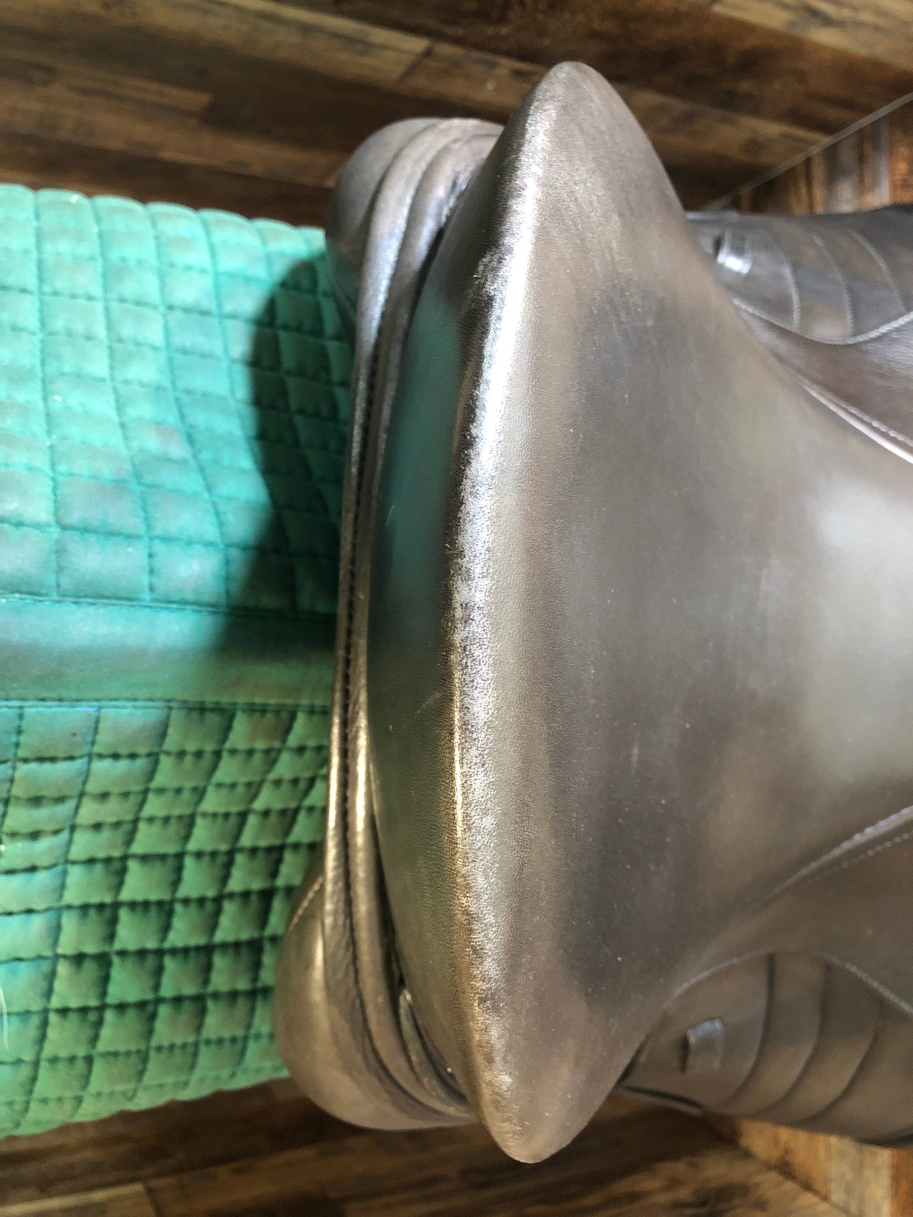 17" Schleese All Purpose Saddle (2022)