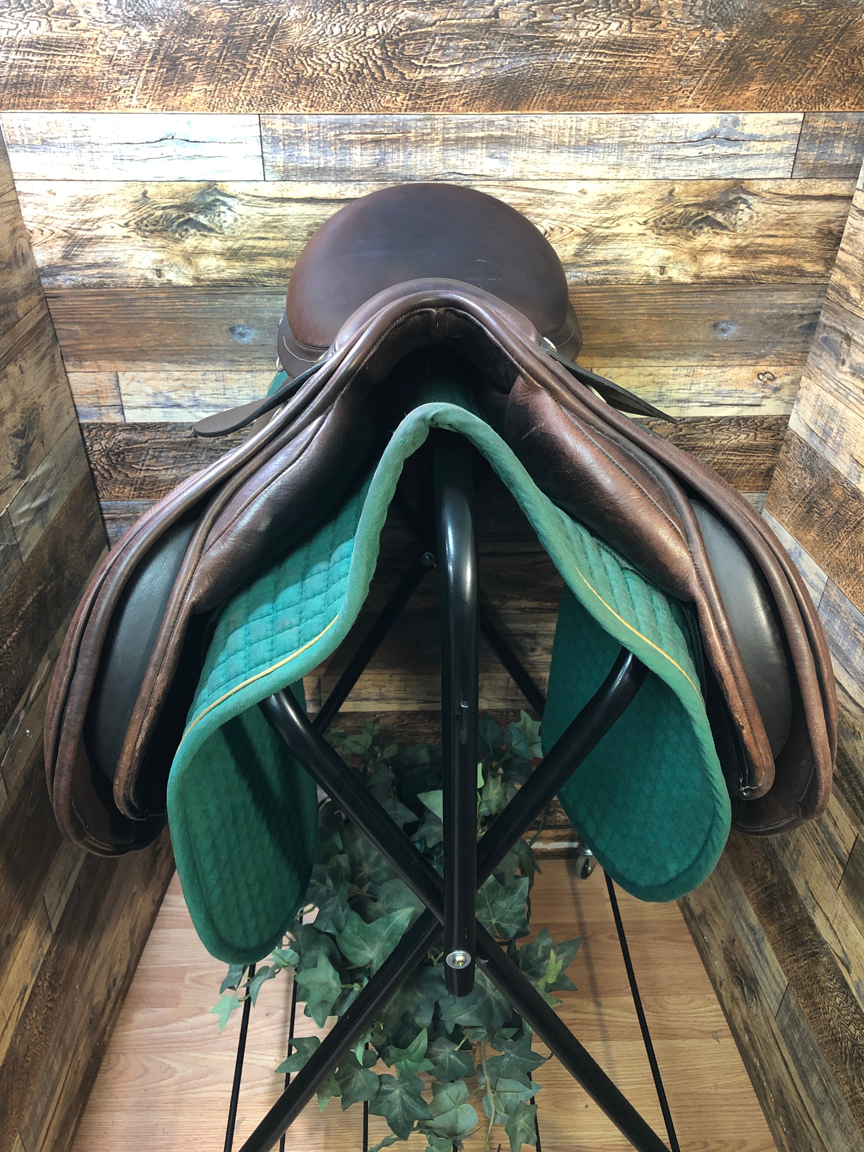 17.5" County Eventer - Spring Tree