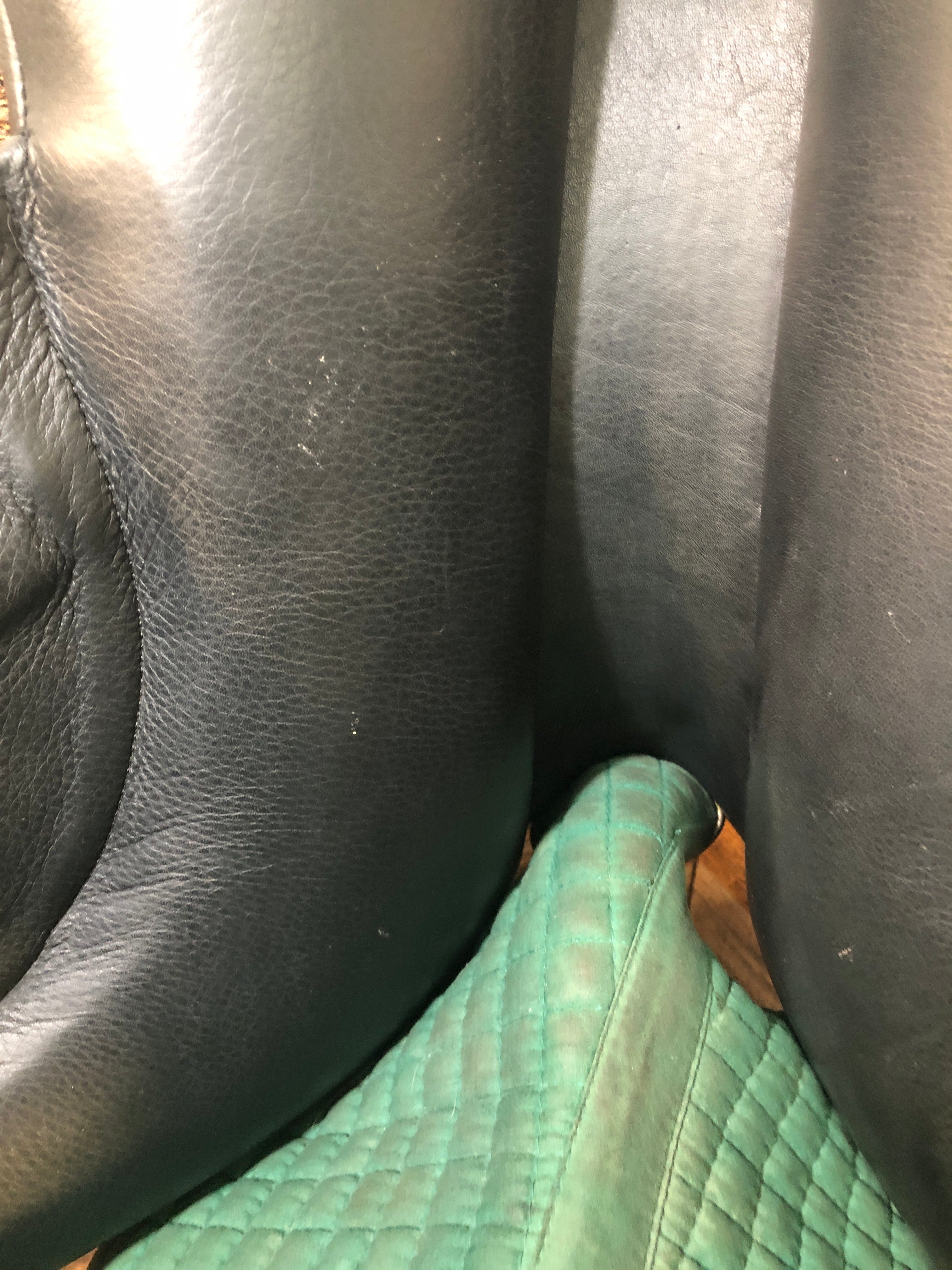 17" Envy Motion Dressage Saddle