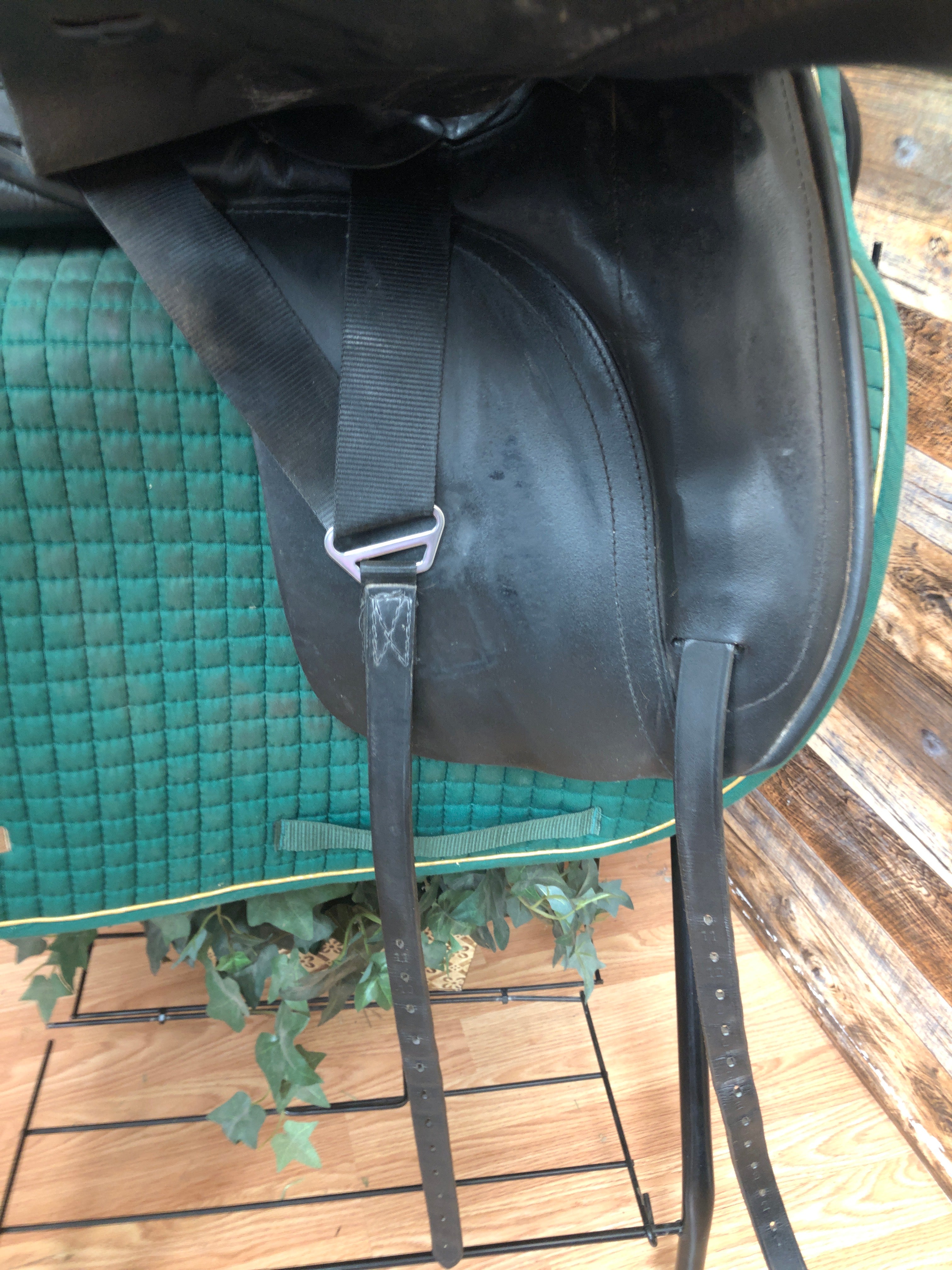 17.5" Custom Dressage Wolfgang Solo