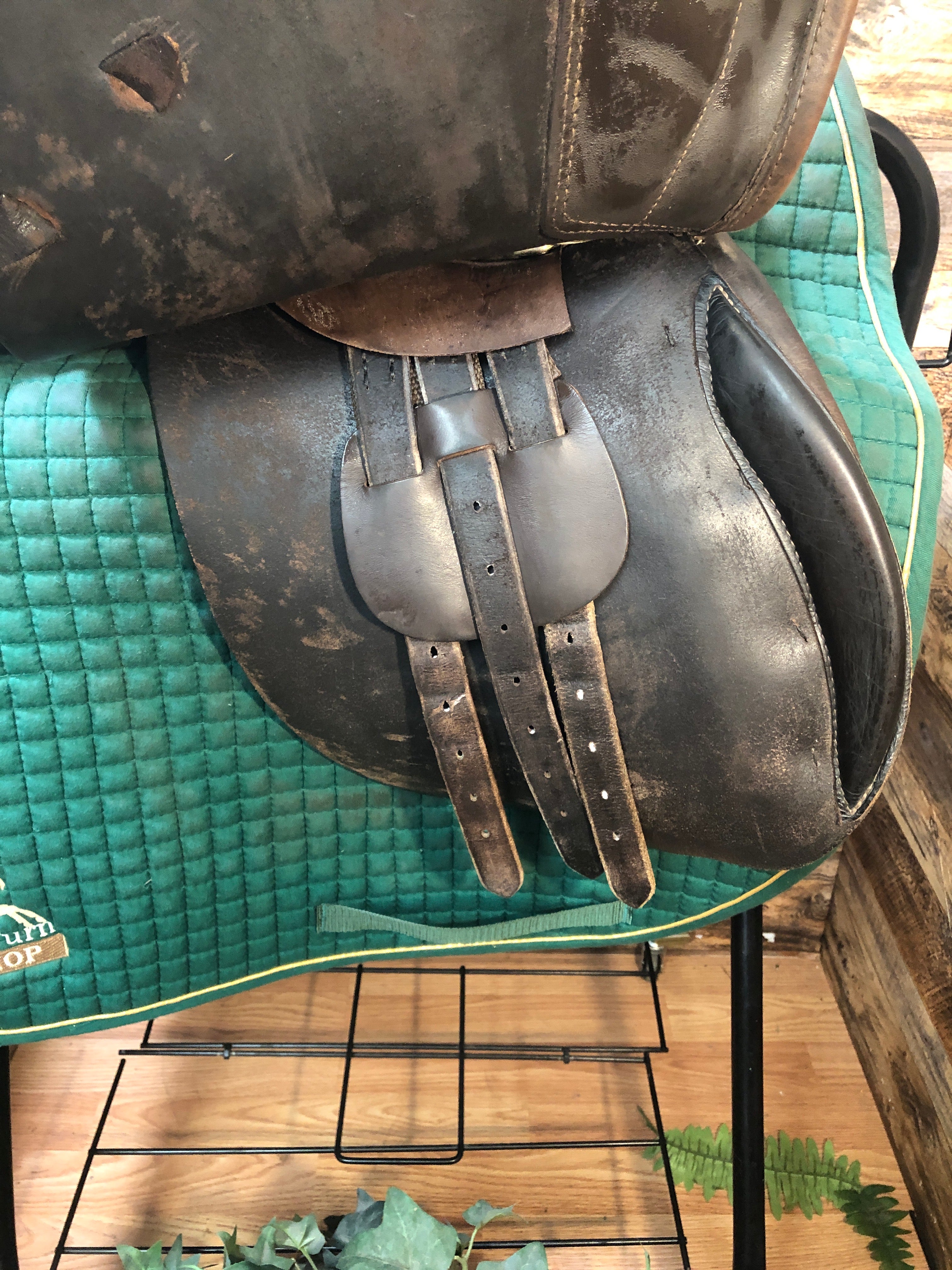 17.5" Ashley & Clarke Stoneleigh All Purpose Saddle