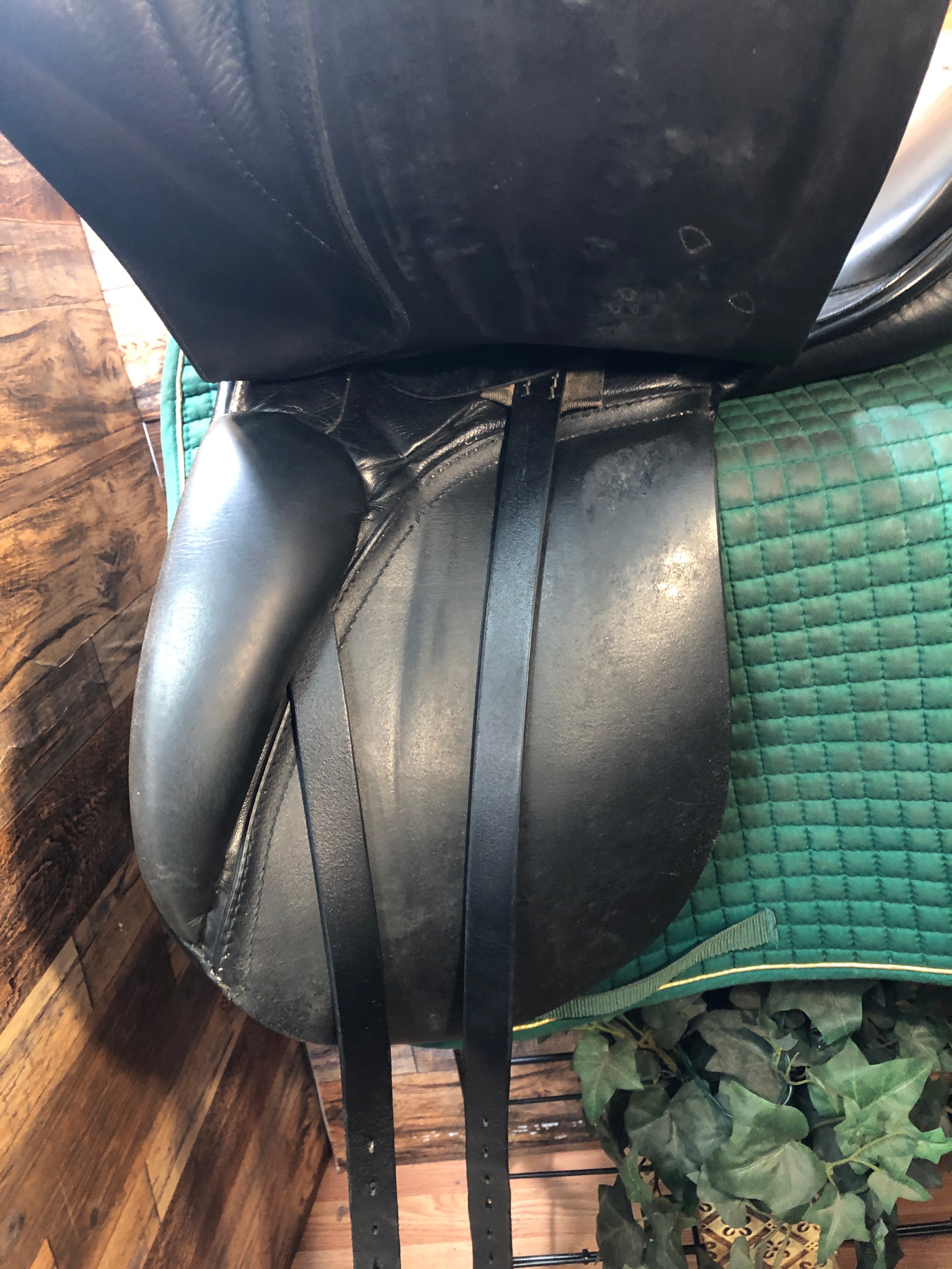 17.5" Passier Grand Gilbert Dressage Saddle