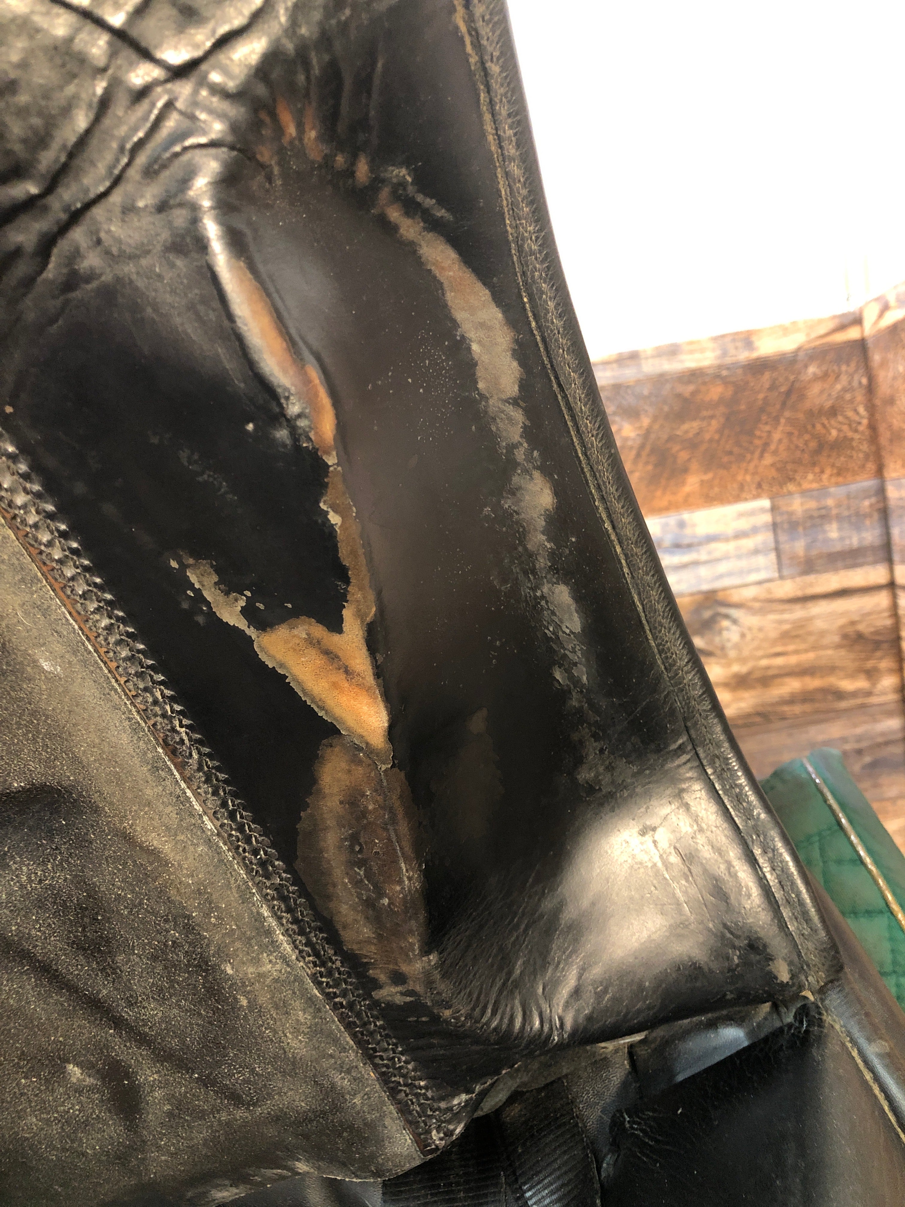 17.5" Detente Dressage Saddle