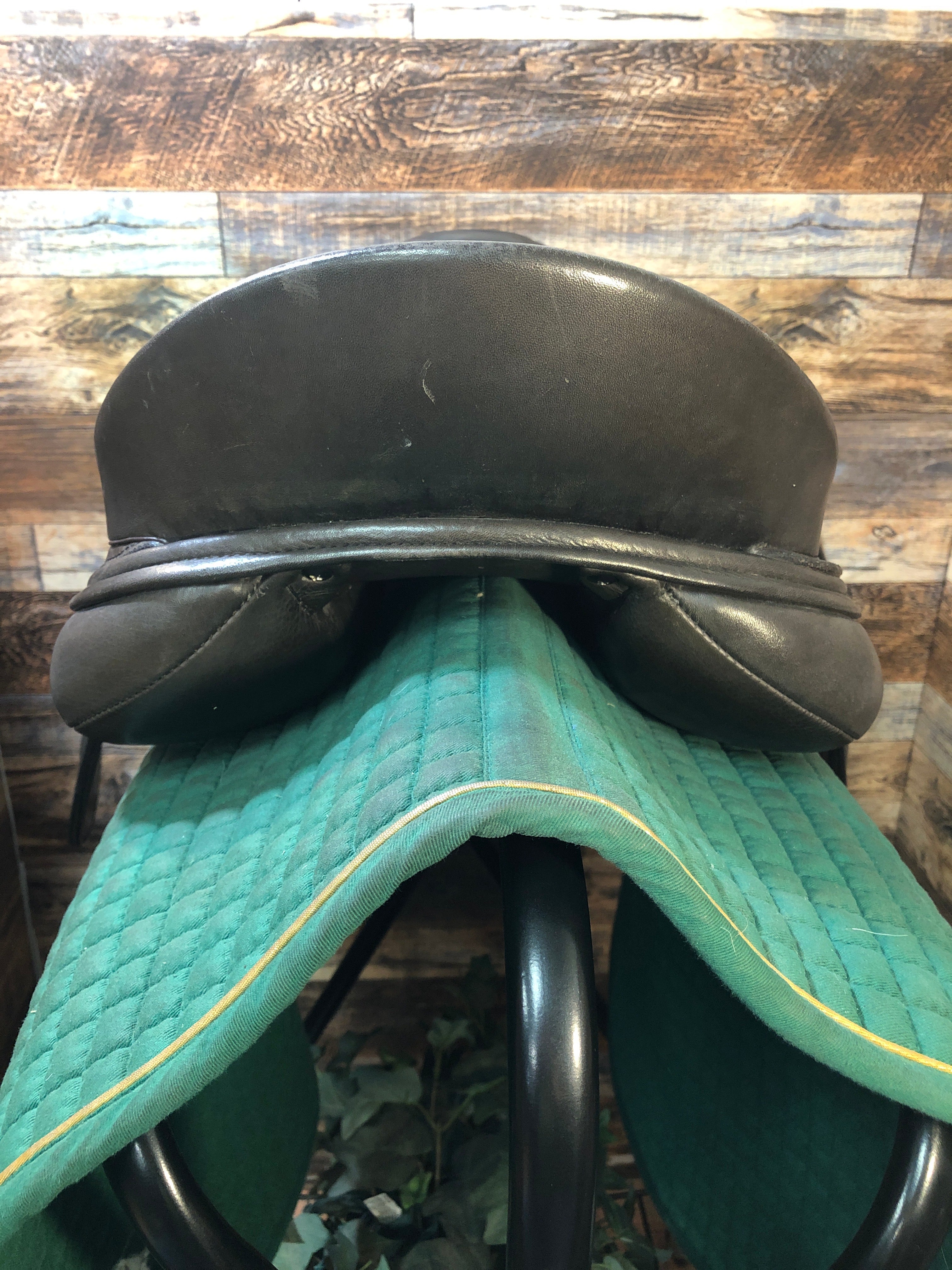 17" Schleese All Purpose Saddle (2022)