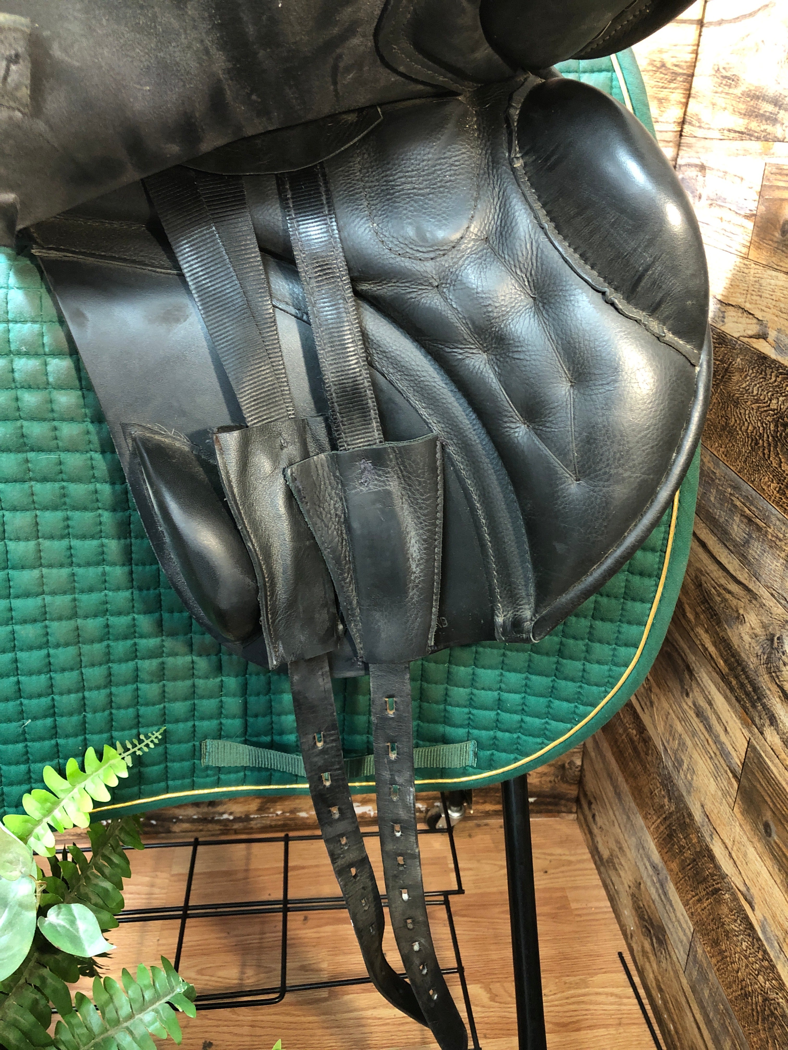 18" Black Country Wexford Jump - Blk