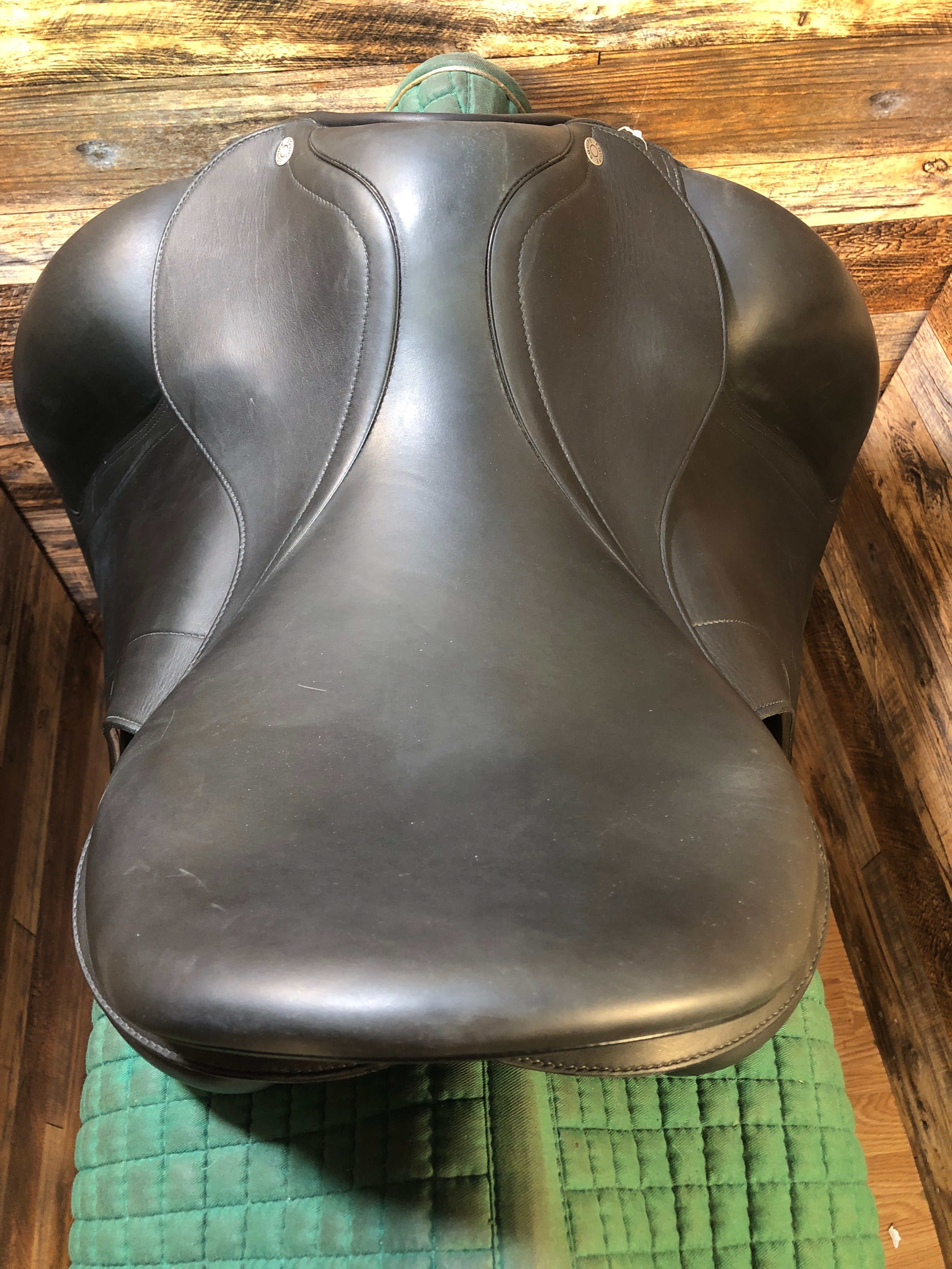 17.5" Equipe Dressage - Foam w/ cover