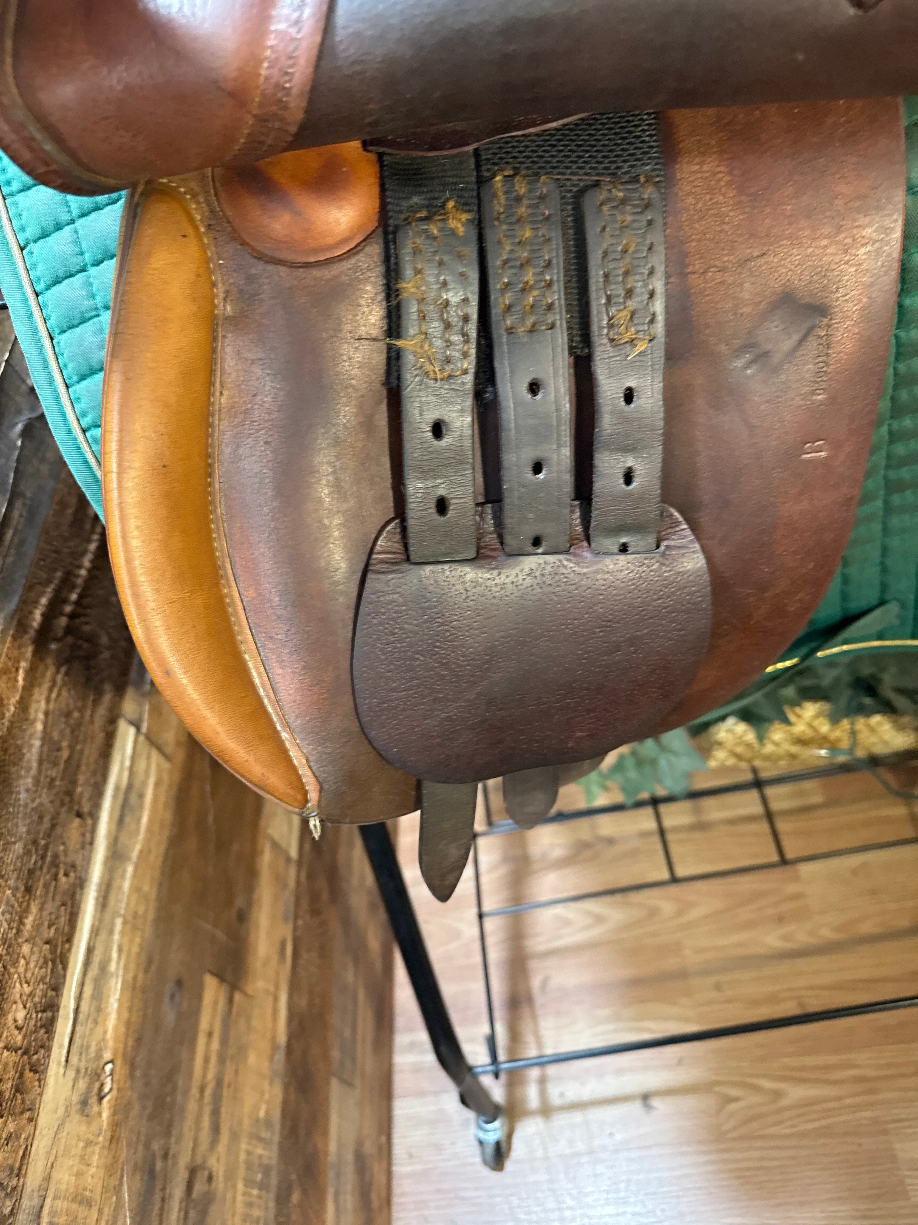 16" Collegiate Close Contact Saddle