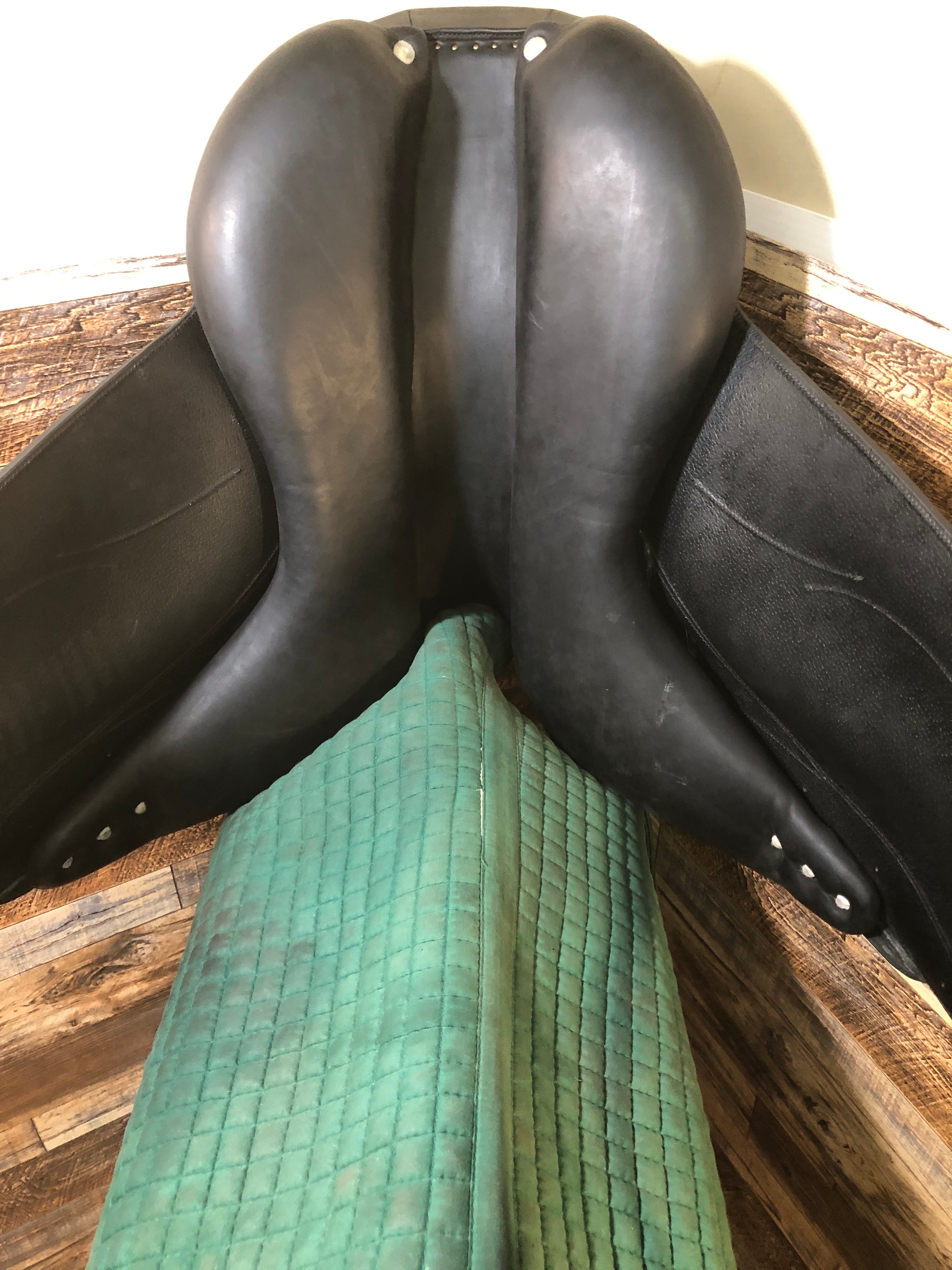 18.5 Devacoux Mendia Dressage