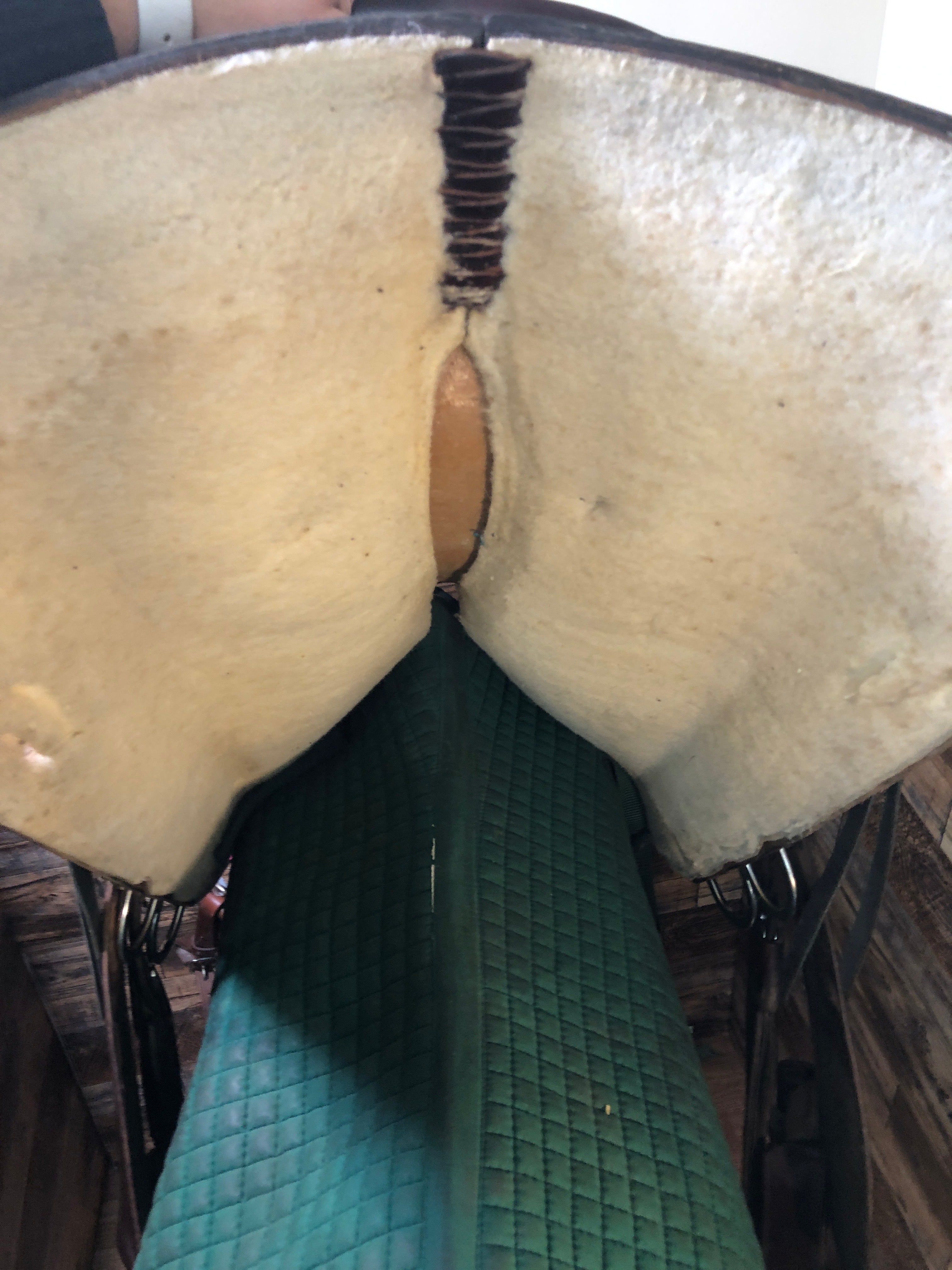 16" Circle Y Park & Trail Western Saddle