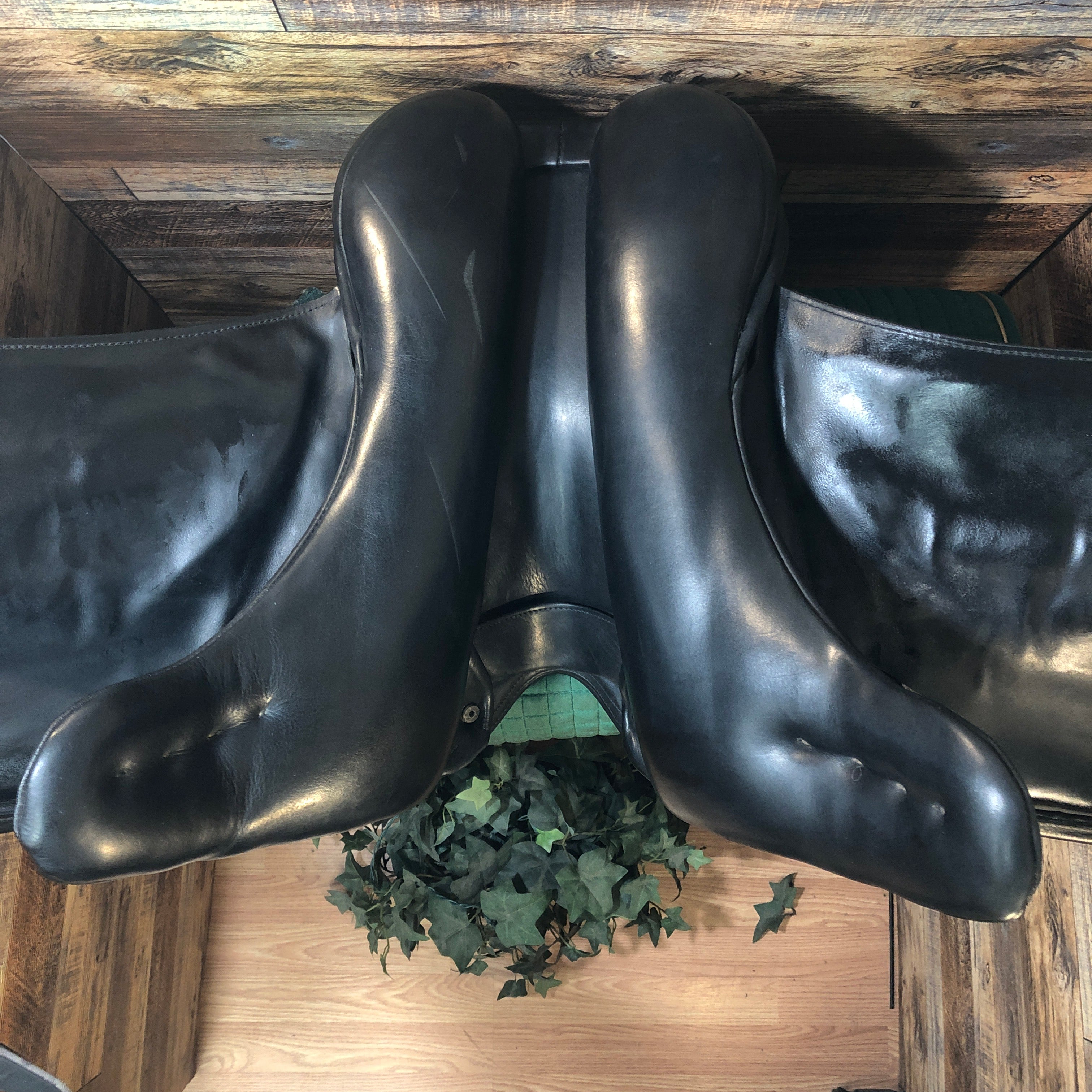 17" Hastilow Monoflap Dressage Saddle