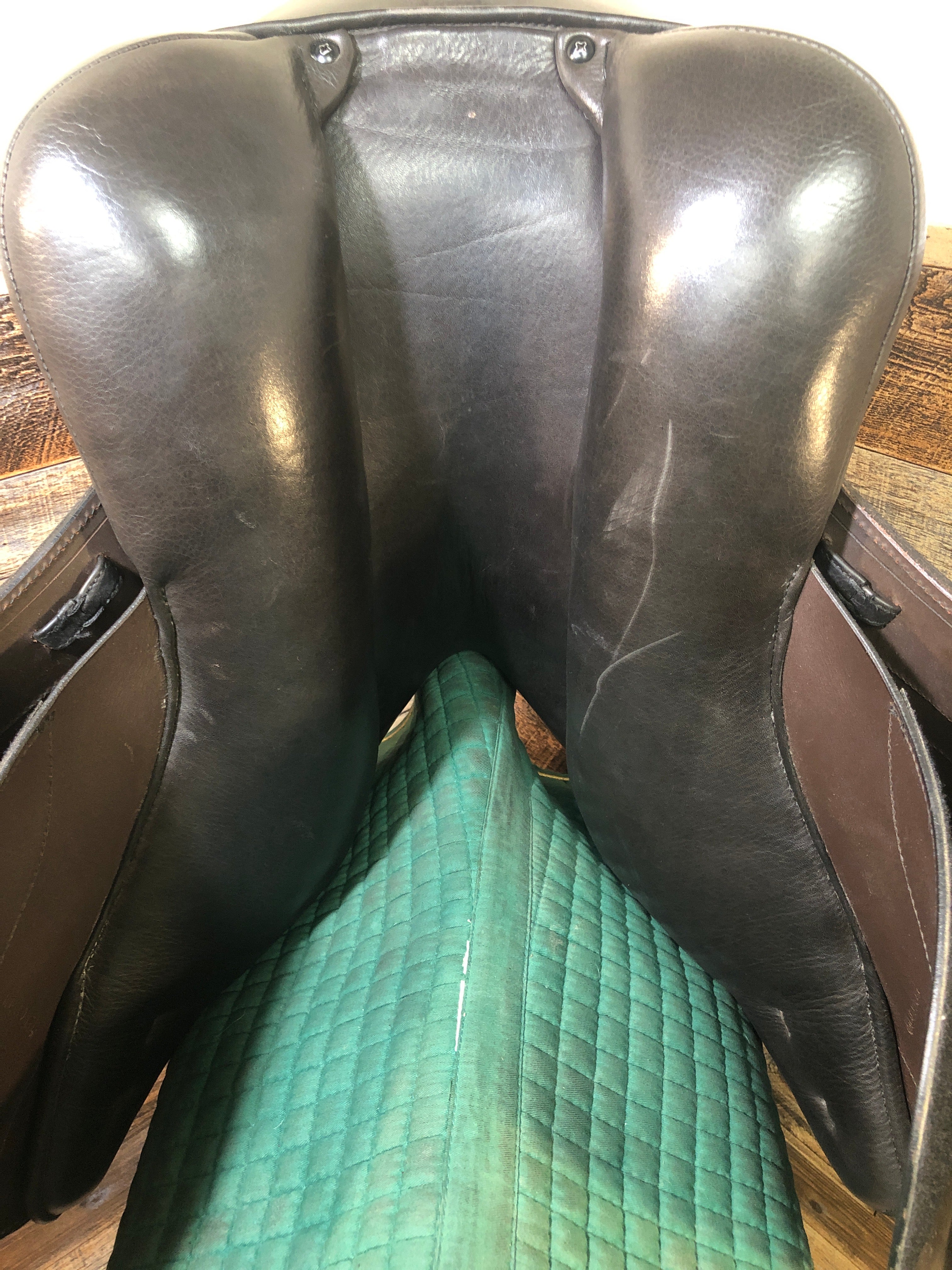 17" Schleese All Purpose Saddle (2022)