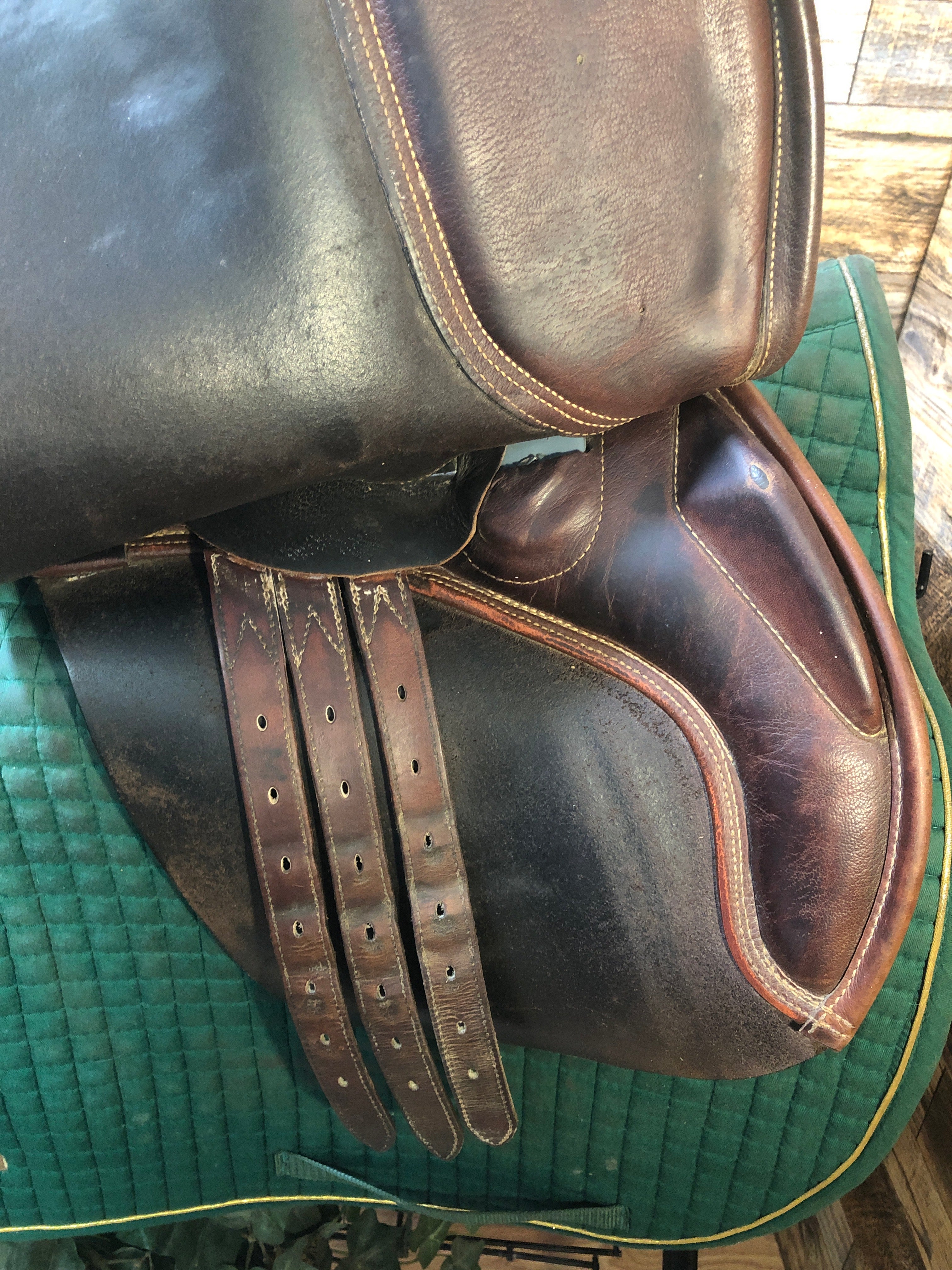 17.5" Collegiate Close Contact Saddle