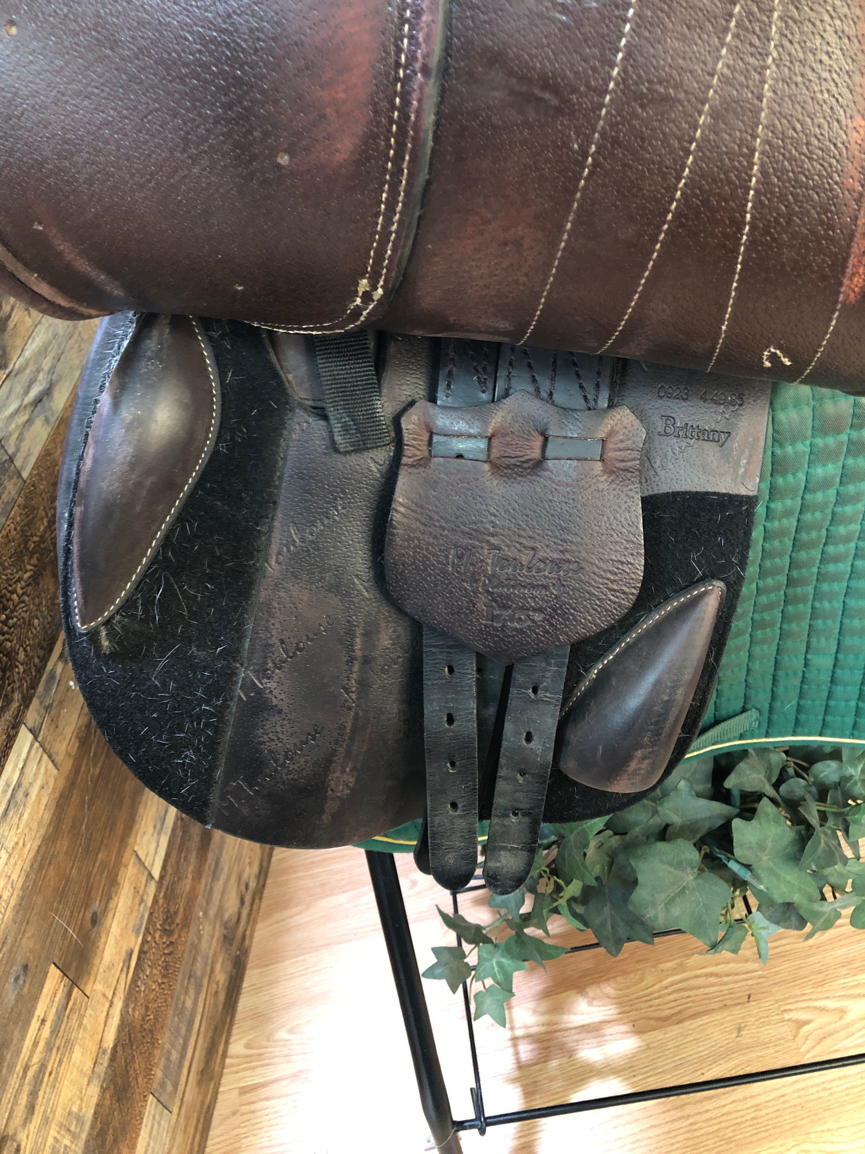17.5" M Toulouse Brittany Platinum Genesis Saddle