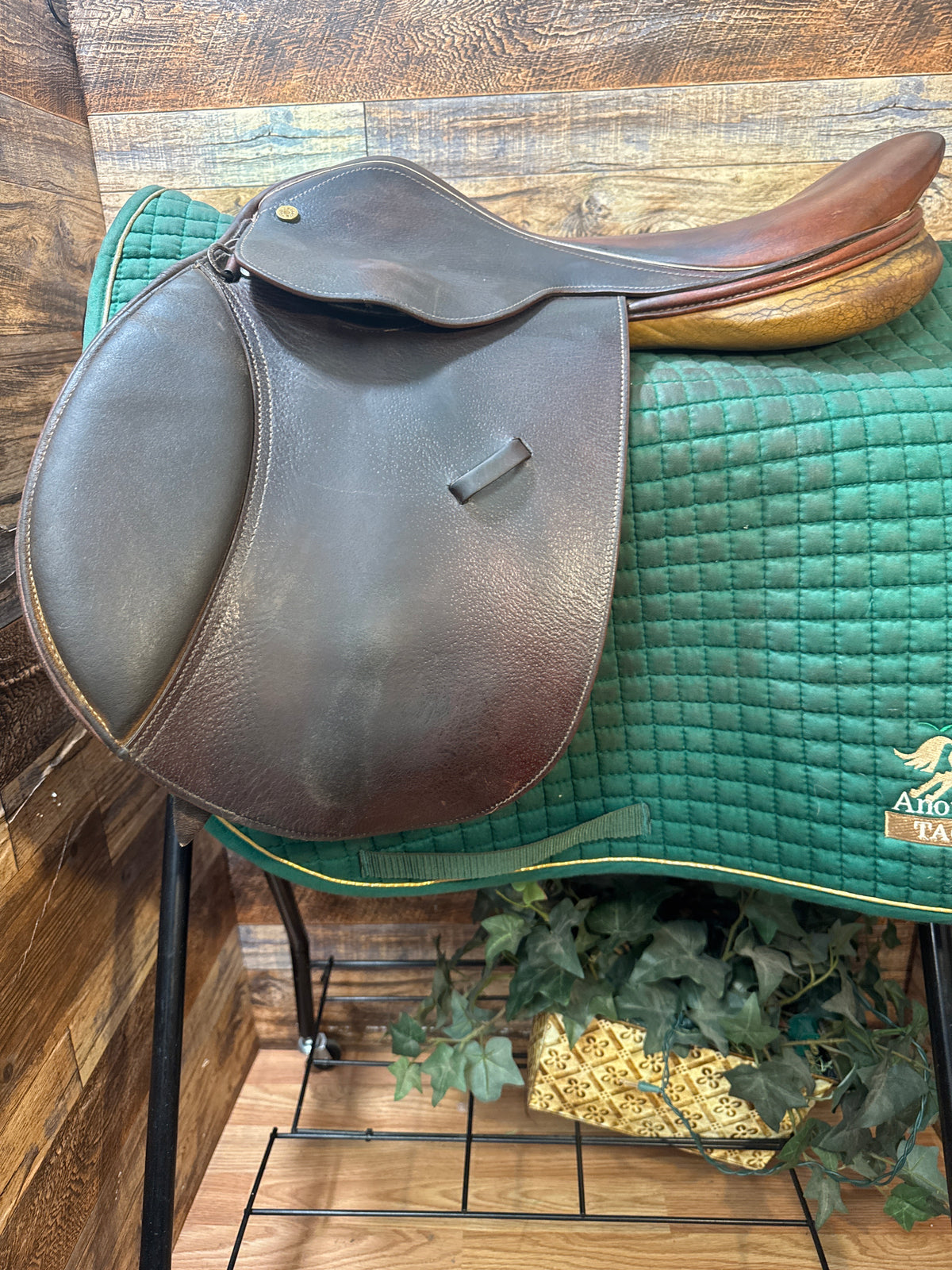16" Collegiate Close Contact Saddle