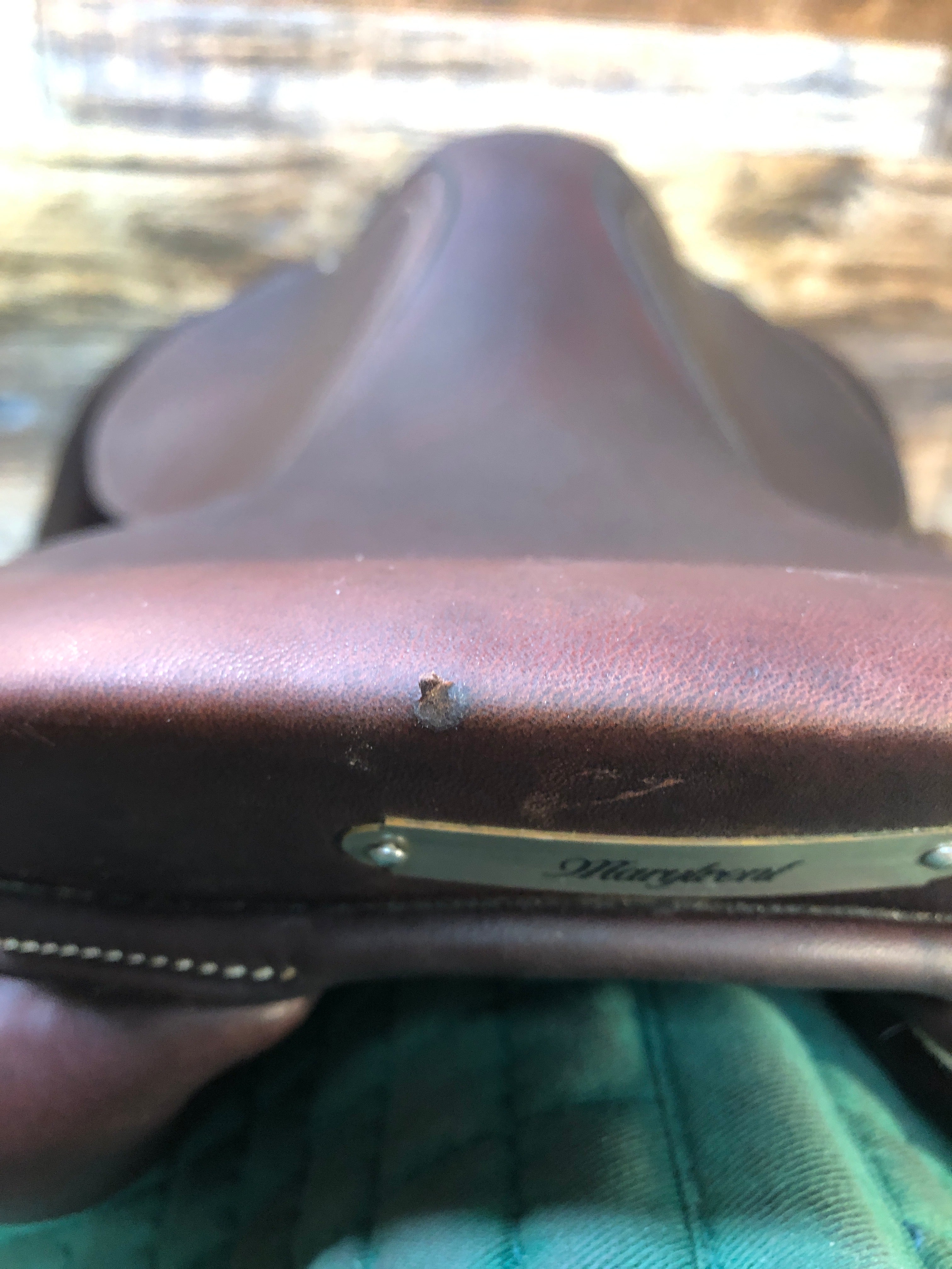 17" Antares CC Saddle