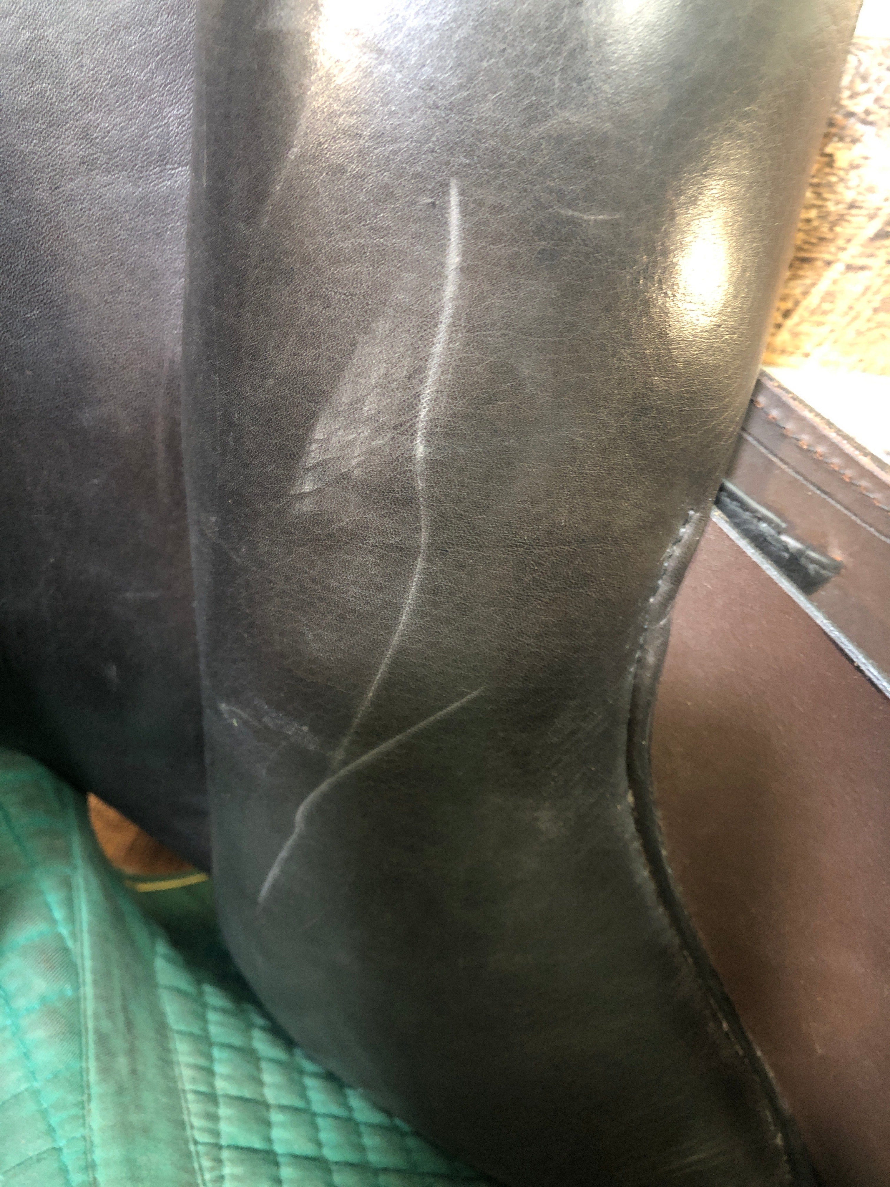 17" Schleese All Purpose Saddle (2022)