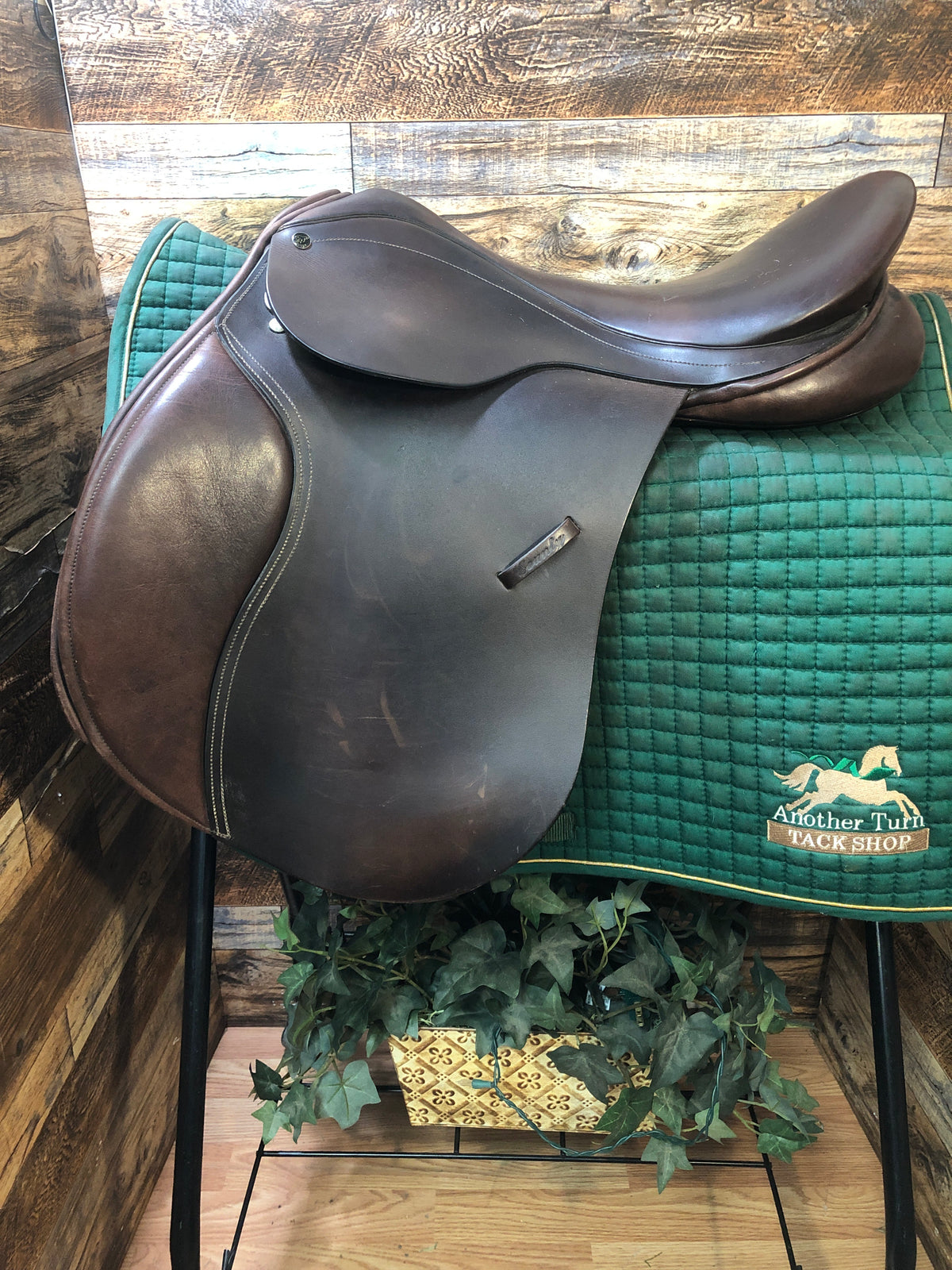 17.5" County Eventer - Spring Tree