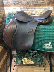 17.5" County Eventer - Spring Tree