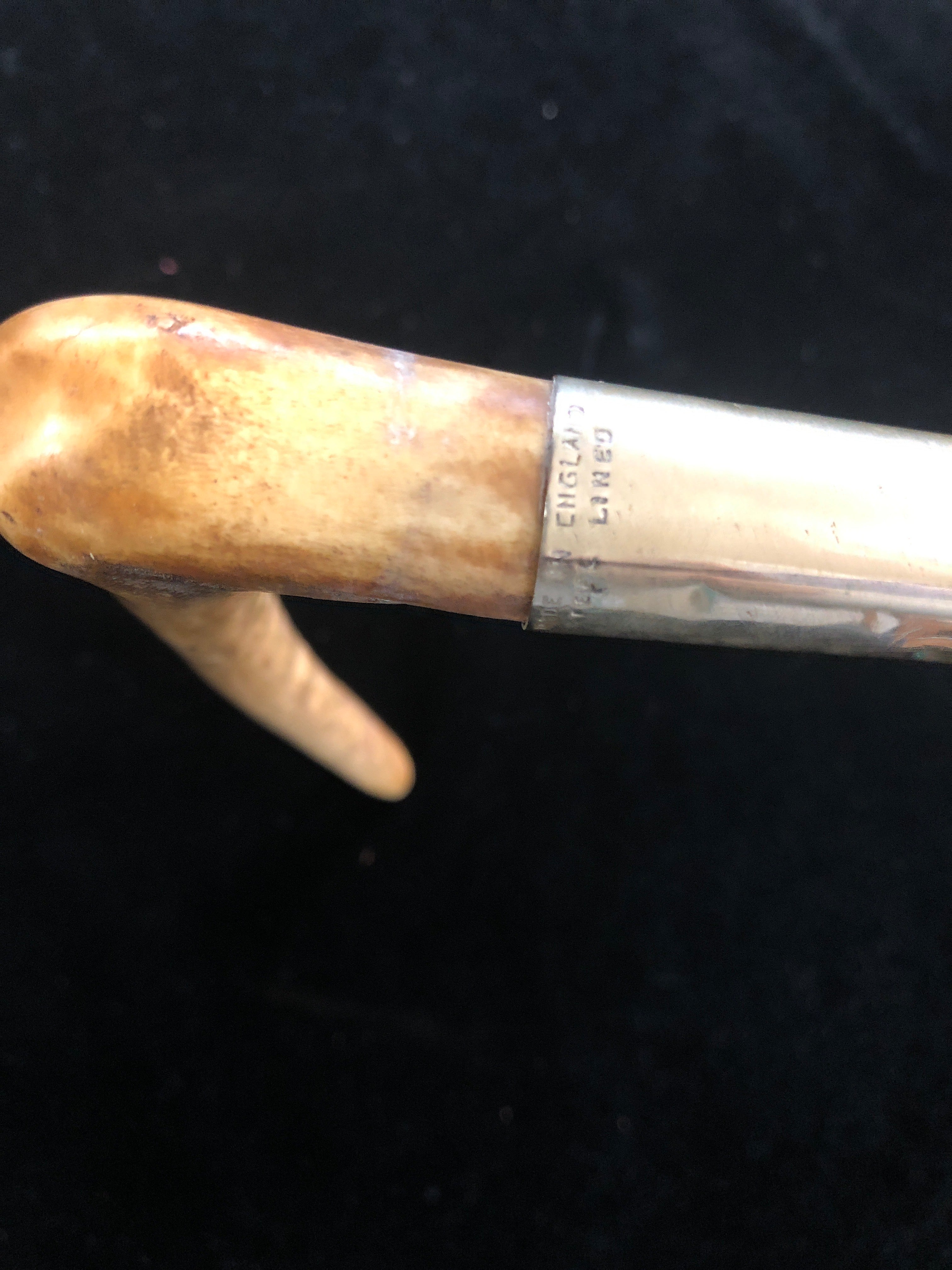 Bone Handle Hunting Whip