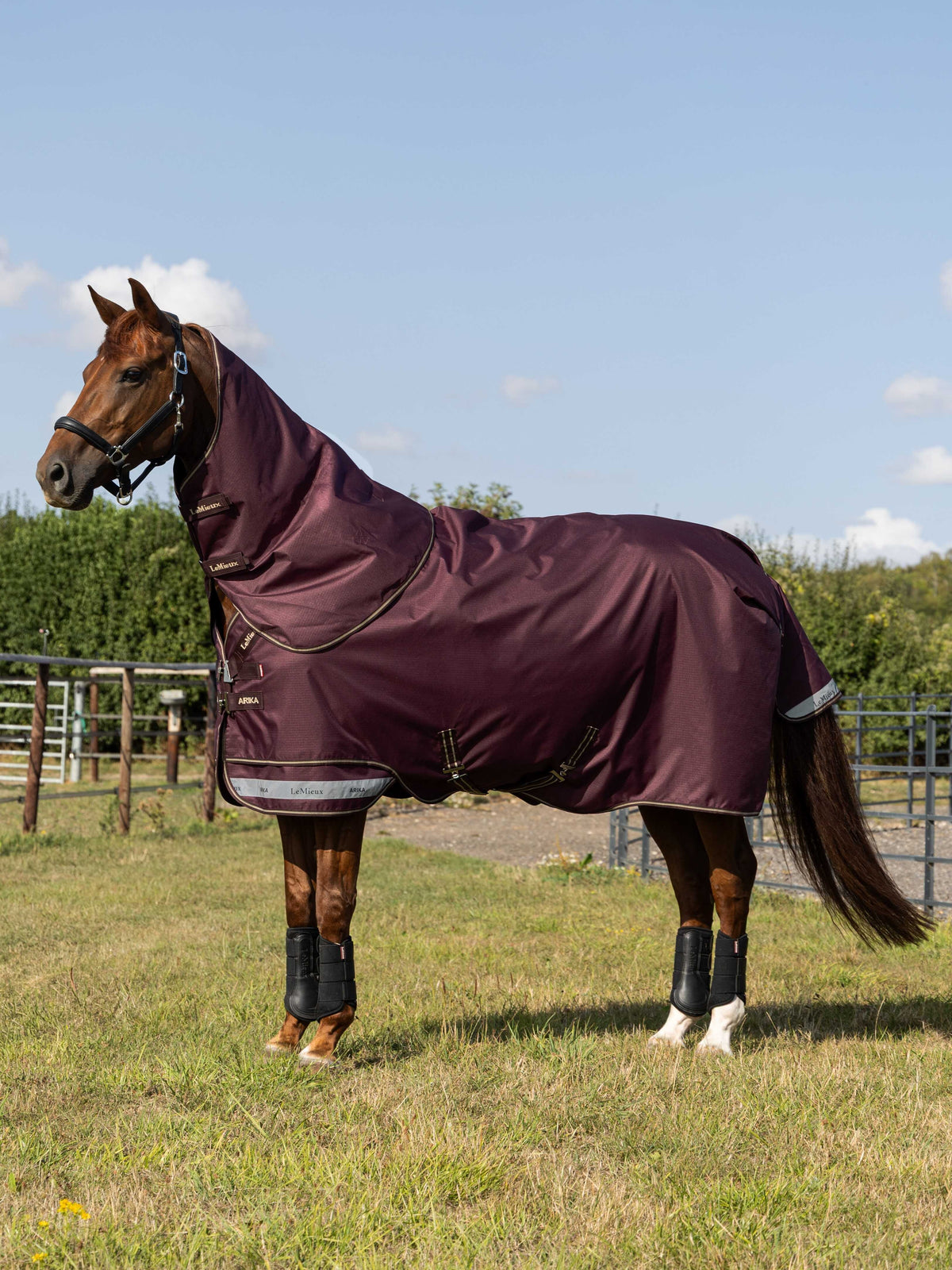 Arika Ripstop Turnout 200g