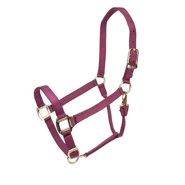Arma Adjustable Nylon Halter
