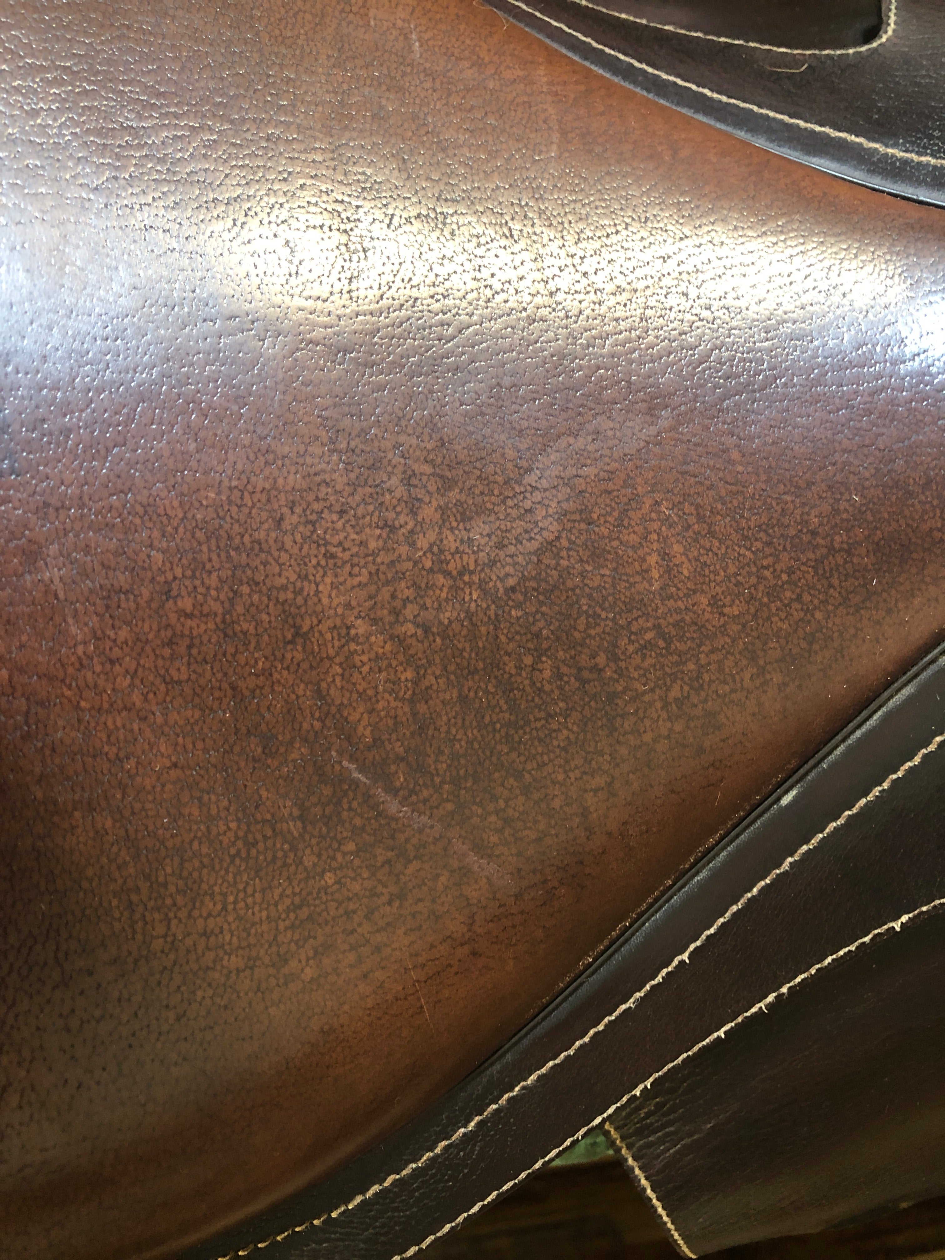 17.5" Collegiate Close Contact Saddle