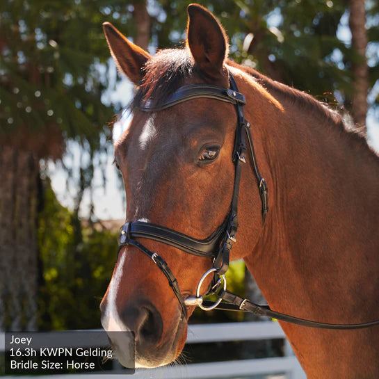 Better Bridle - Total Saddle Fit