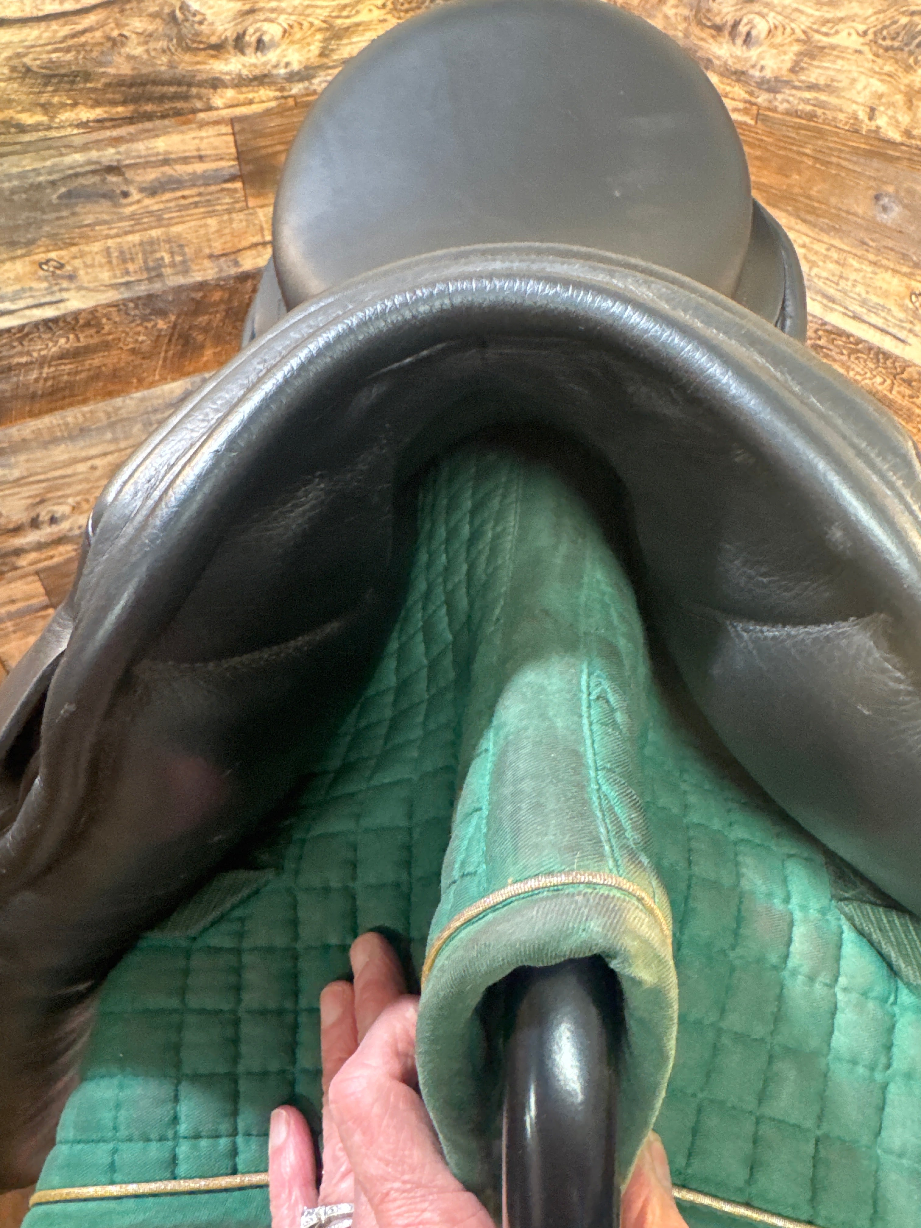 17.5 Karl Niedersuse  Cresendo Dressage (2022)
