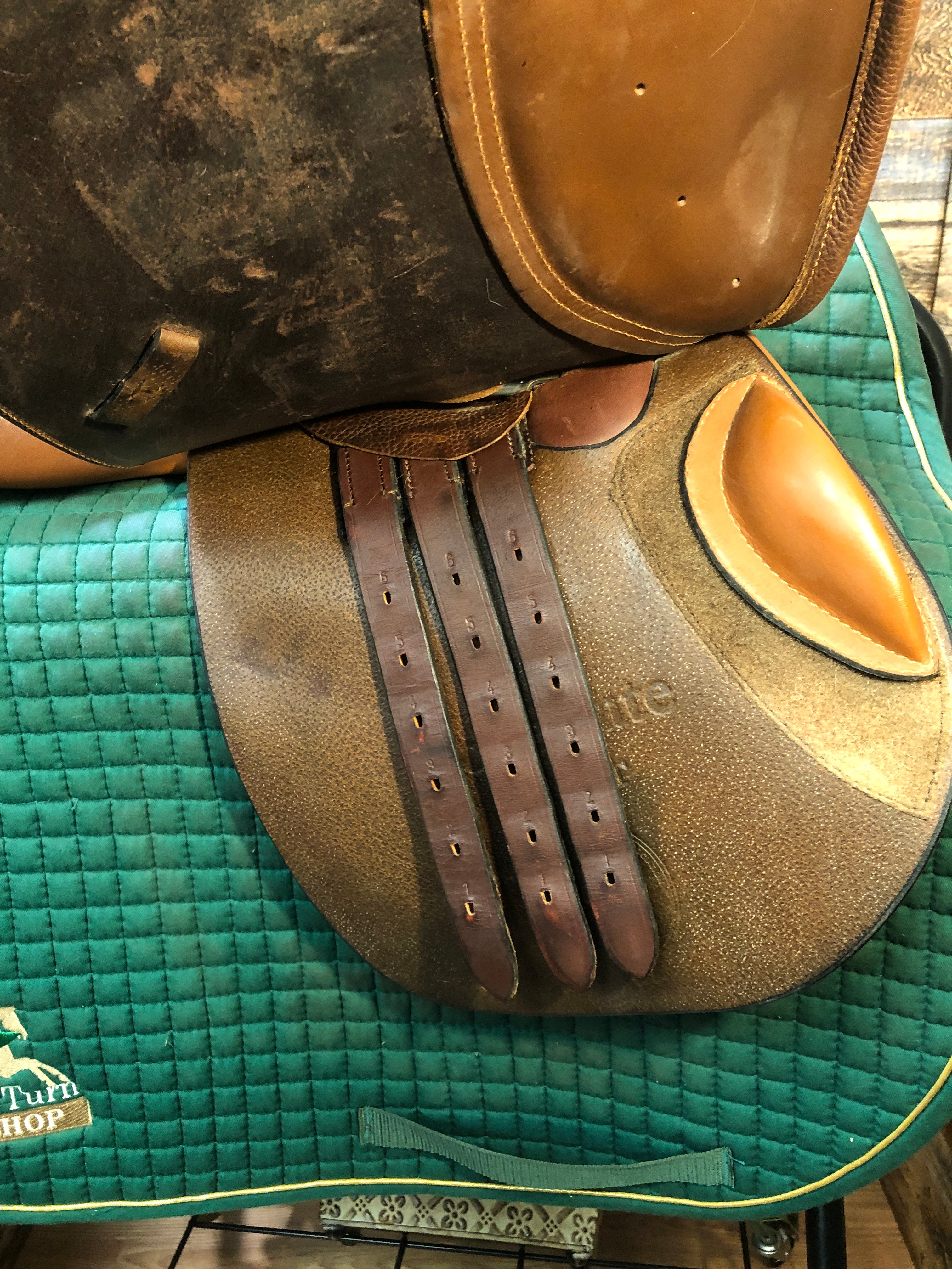 16.5" Collegiate Finalist CC Saddle