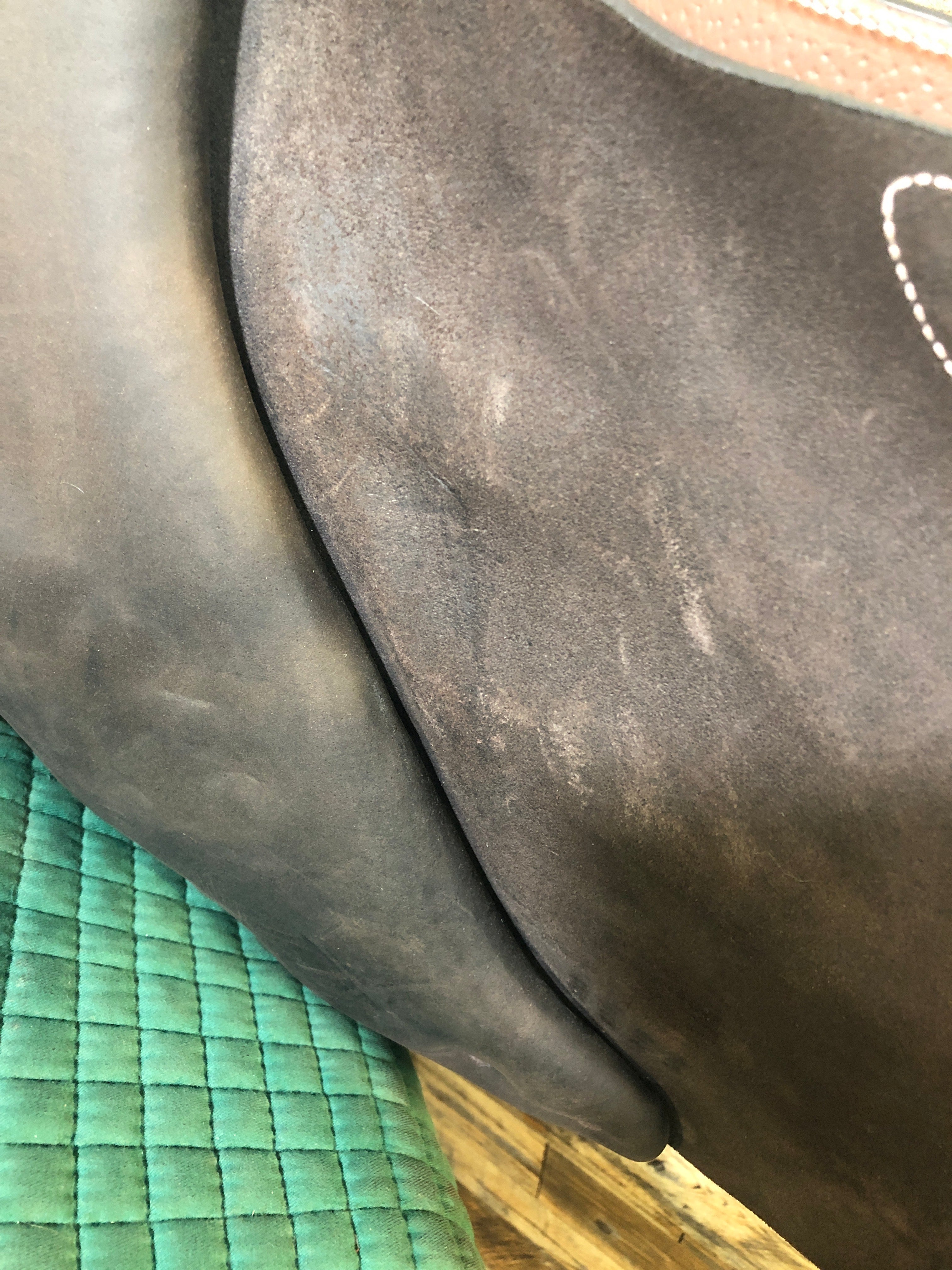 17" Voltaire Stuttgart Saddle (2023)