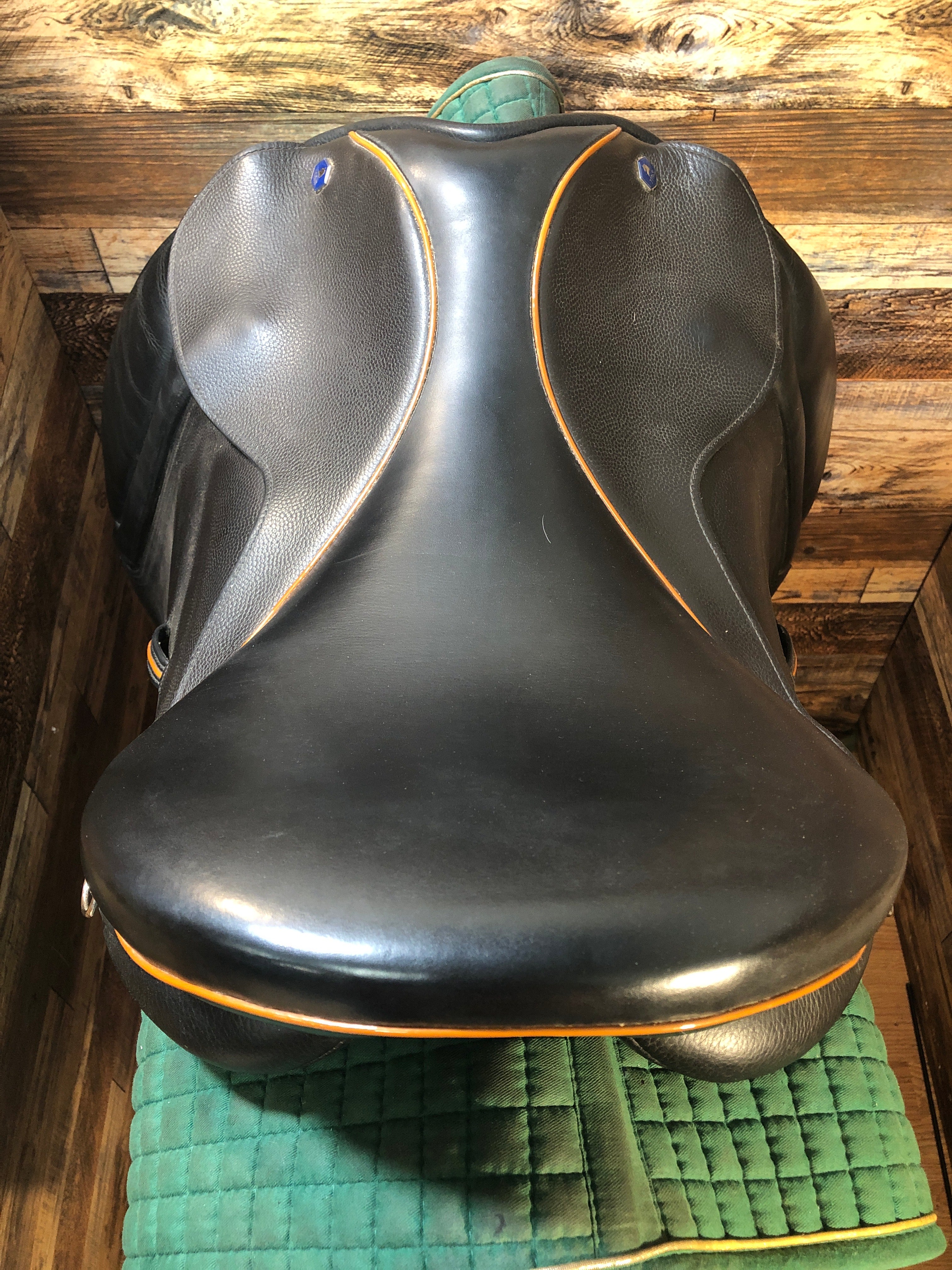18.5" Hastilow Cob Dressage Saddle (2023) Blk/Brn/ Amber Pip