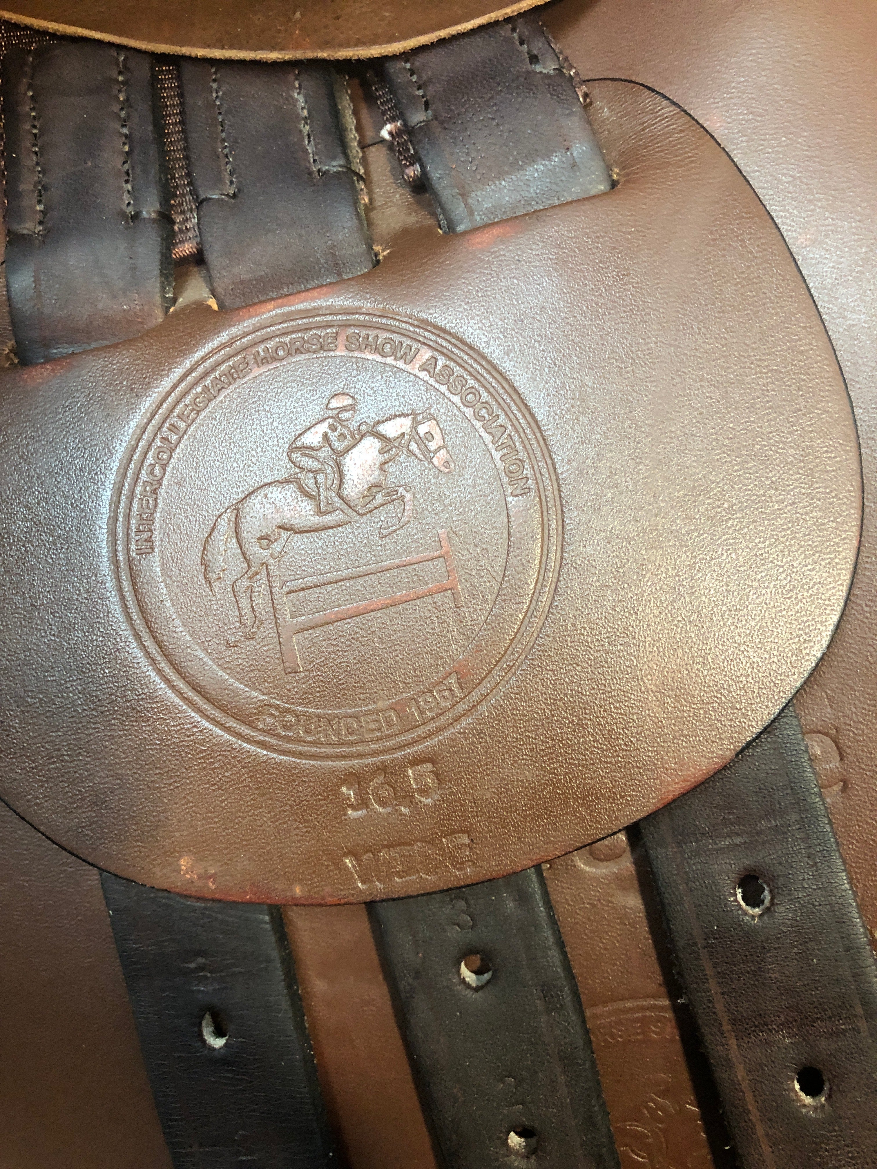 16.5" Collegiate Close Contact Saddle