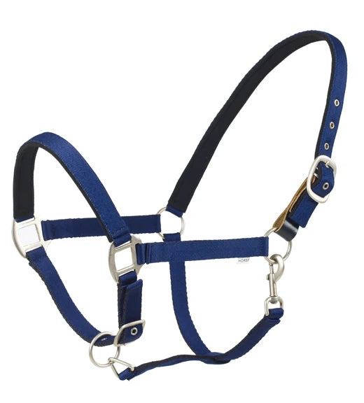 Centaur Web Breakaway Halter
