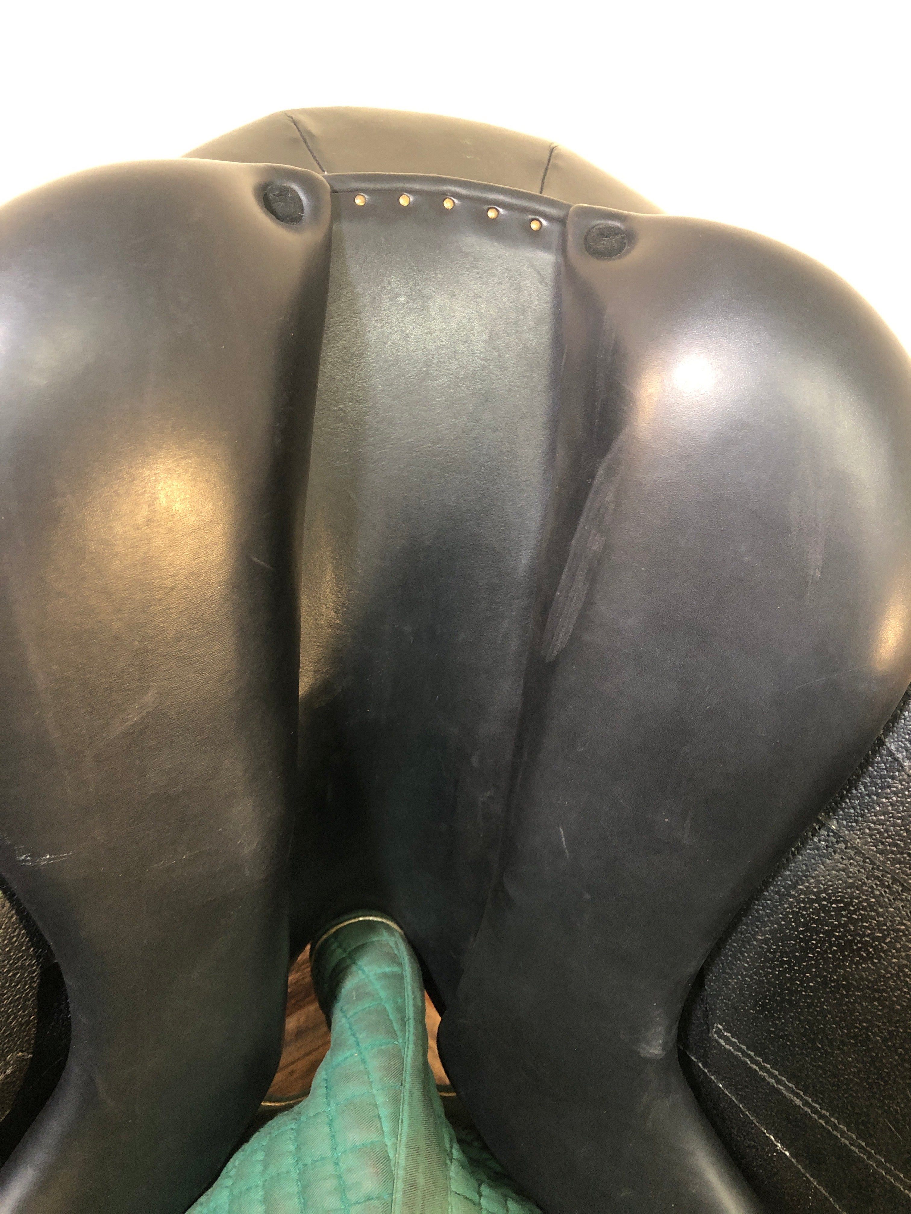 17" L'Apogee Dressage Saddle (2017)